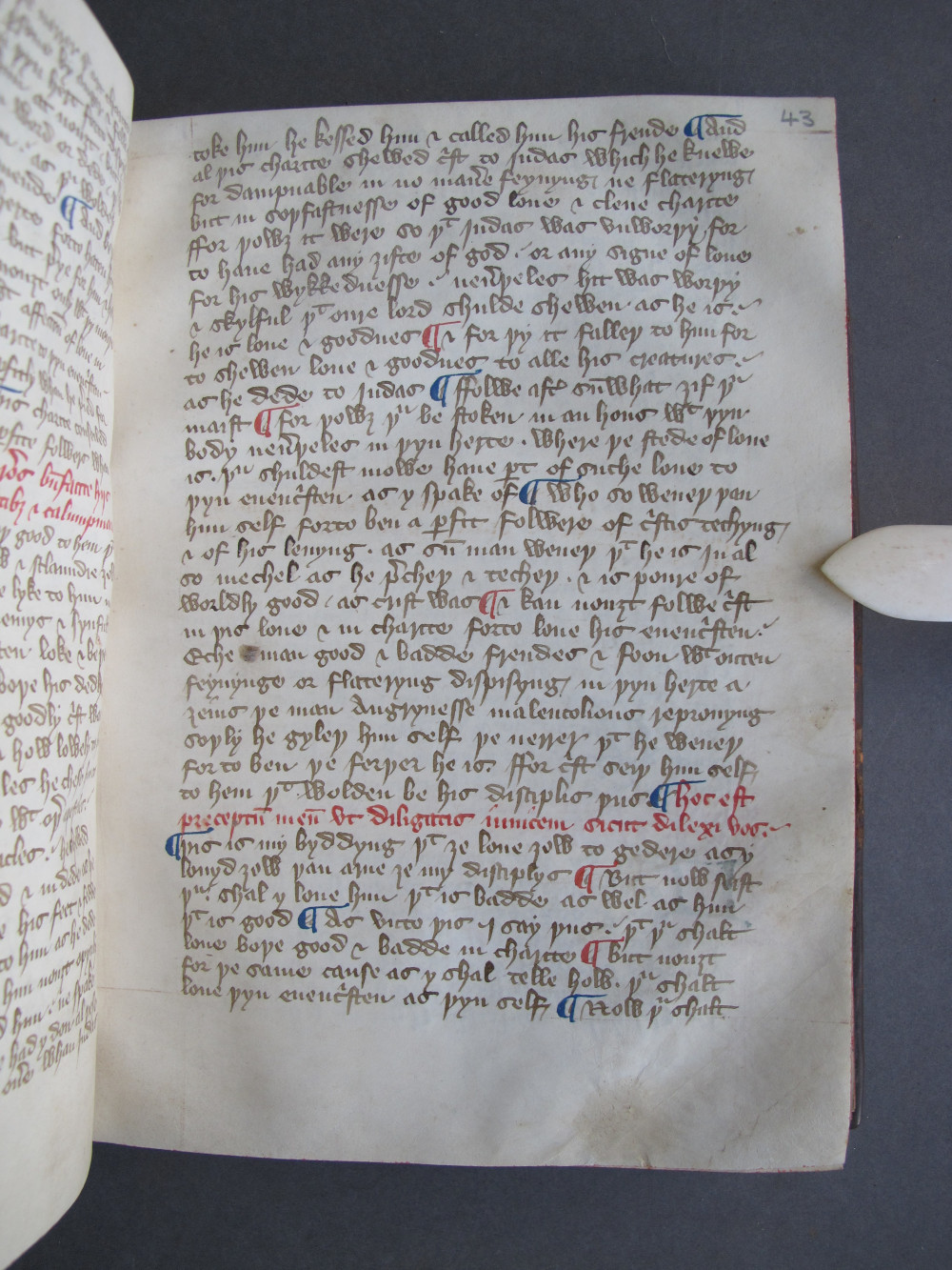 Folio 43 recto