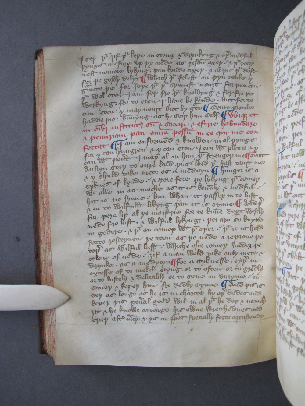 Folio 45 verso