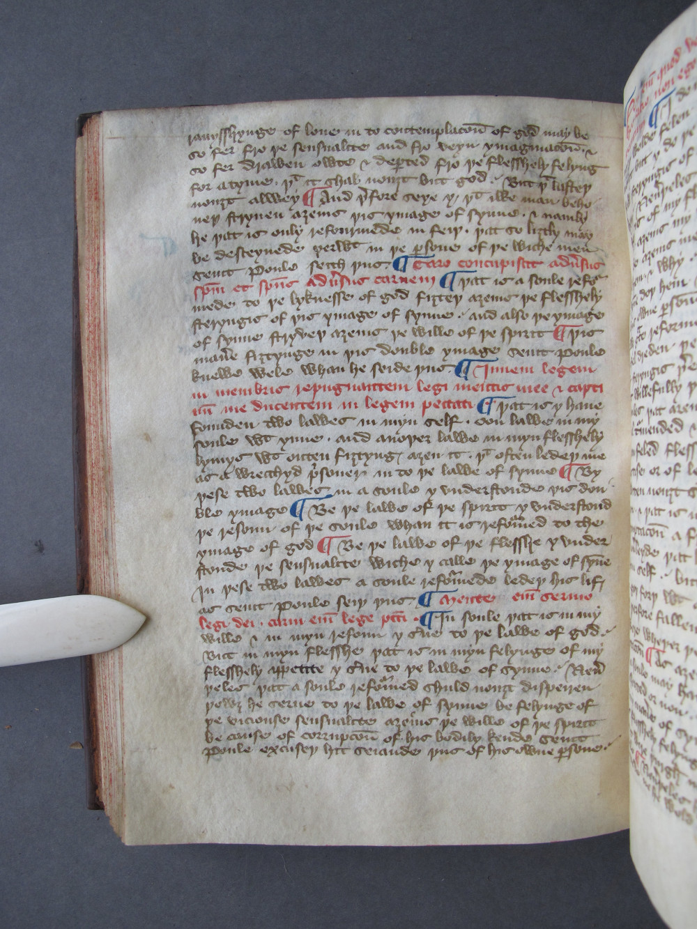 Folio 65 verso