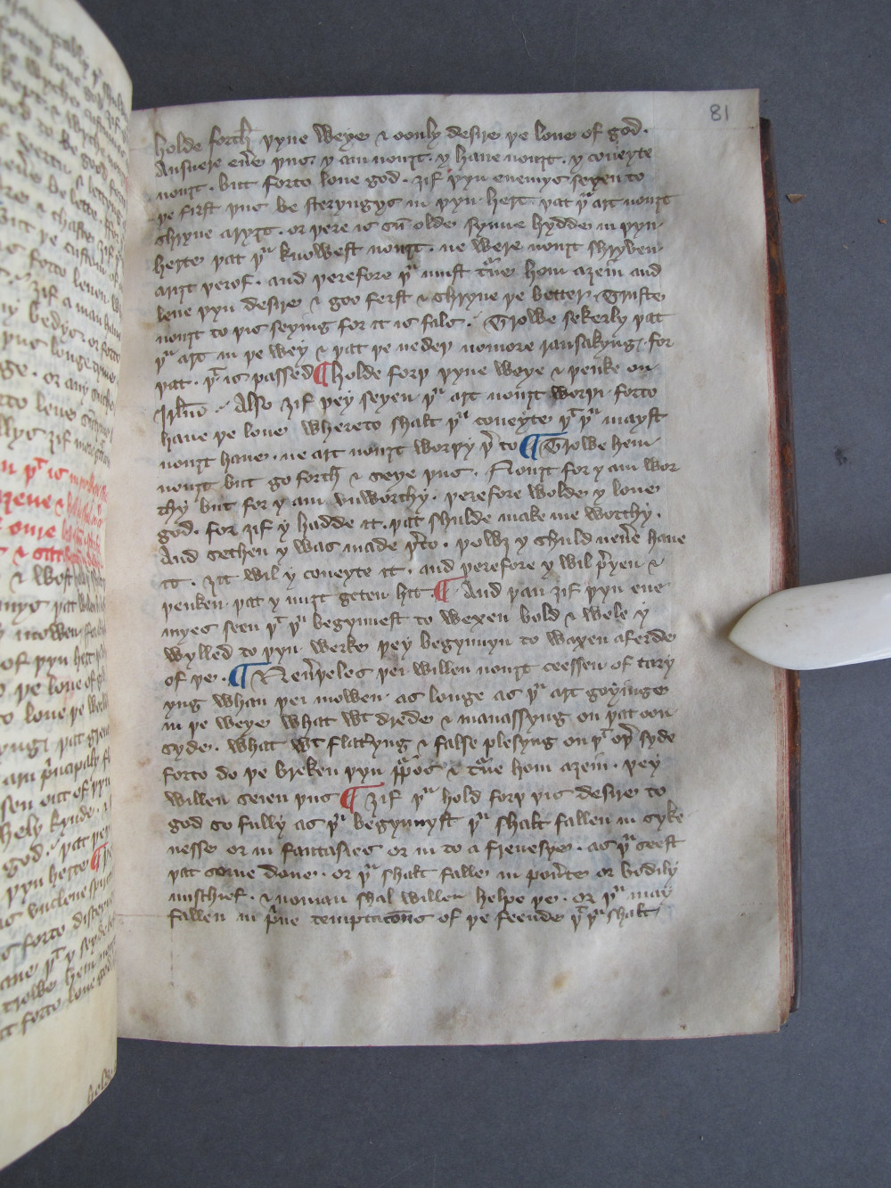 Folio 81 recto