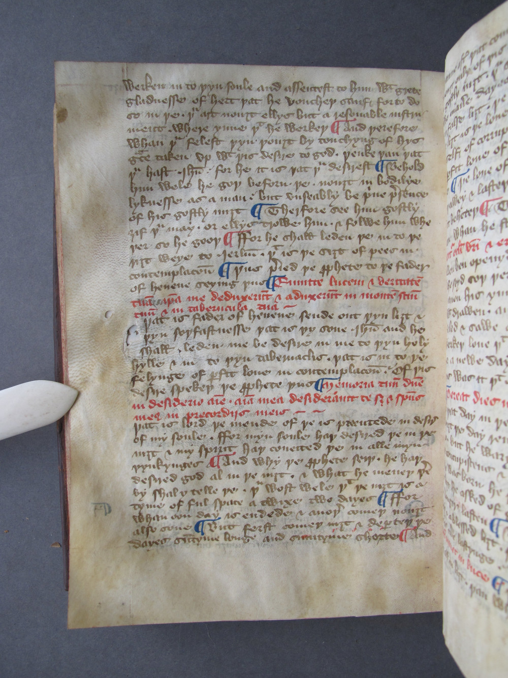 Folio 83 verso