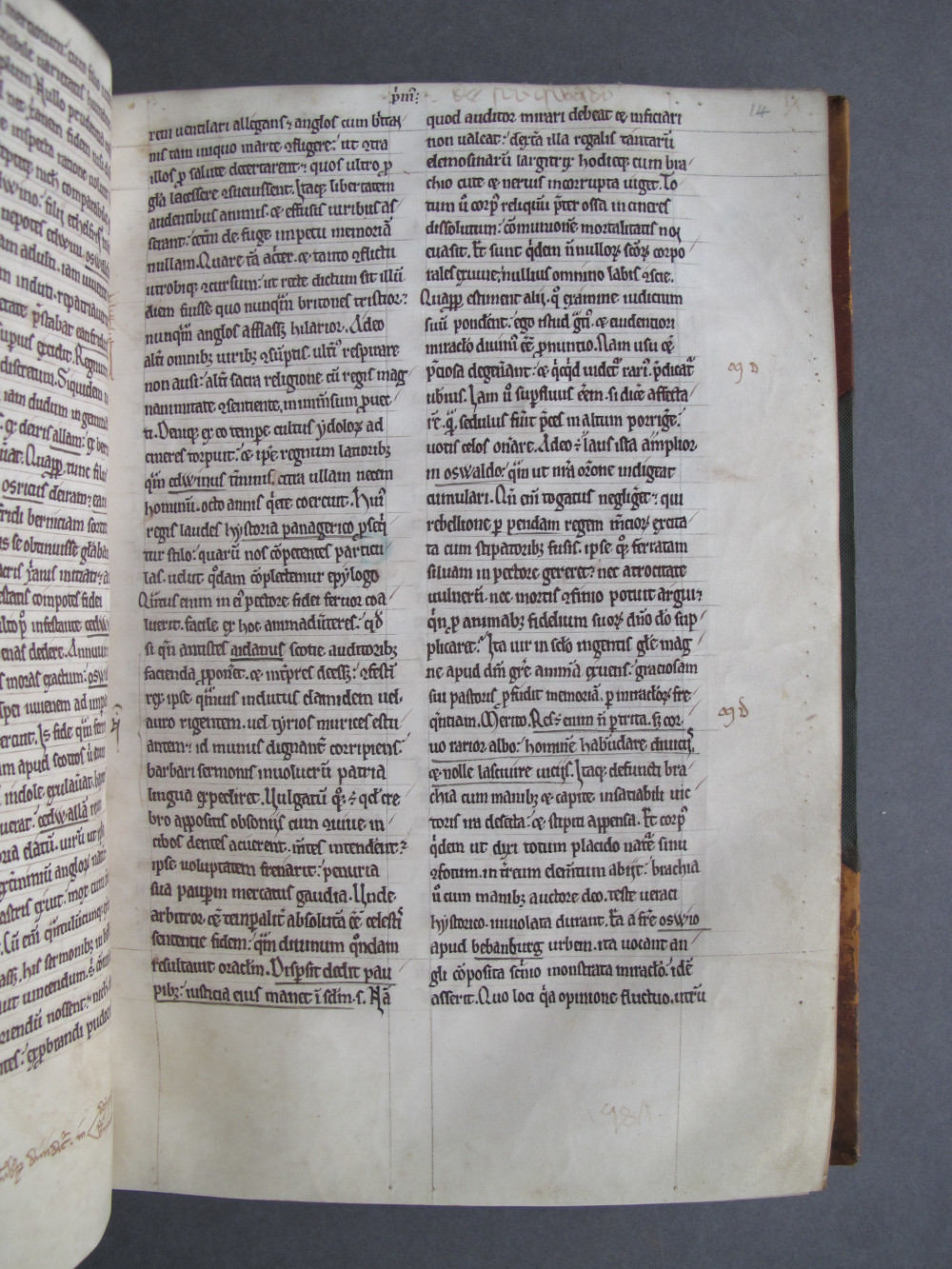 Folio 14 recto
