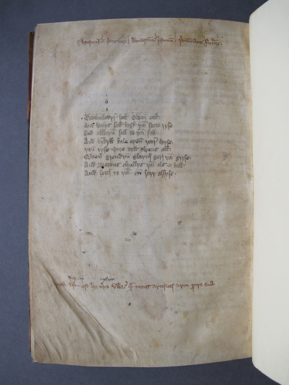 Folio 136 verso
