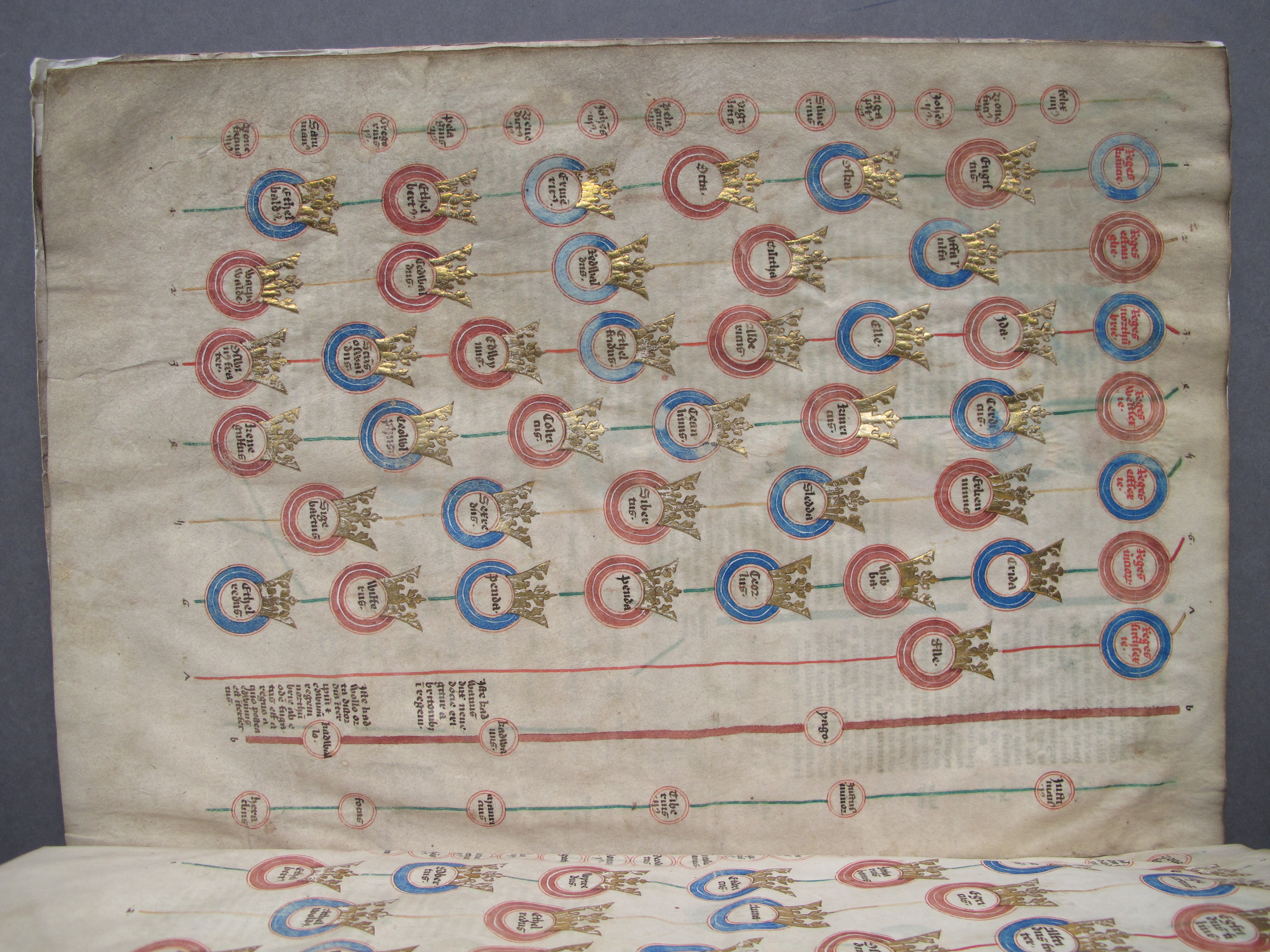 Folio 6 verso