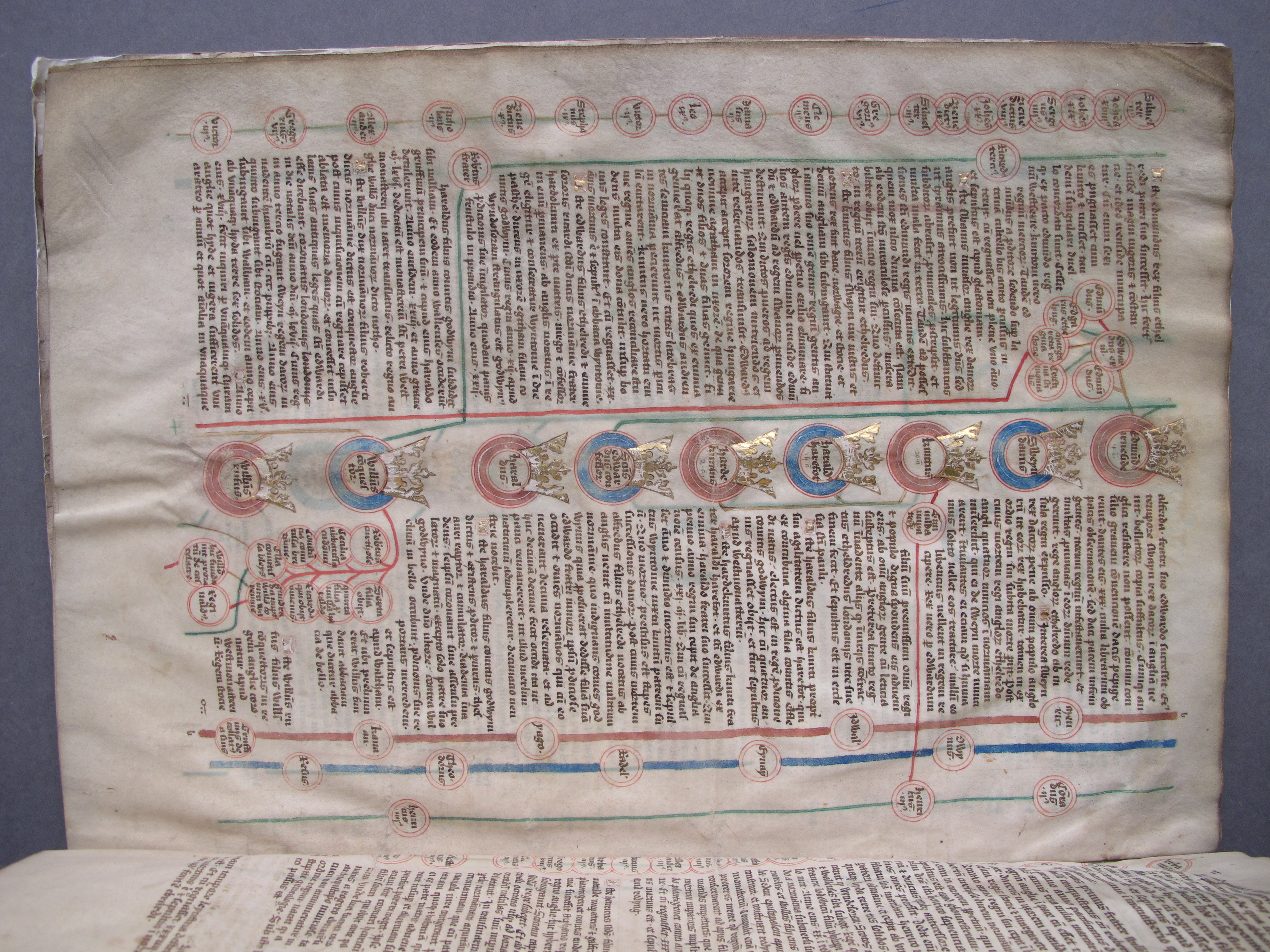 Folio 8 verso
