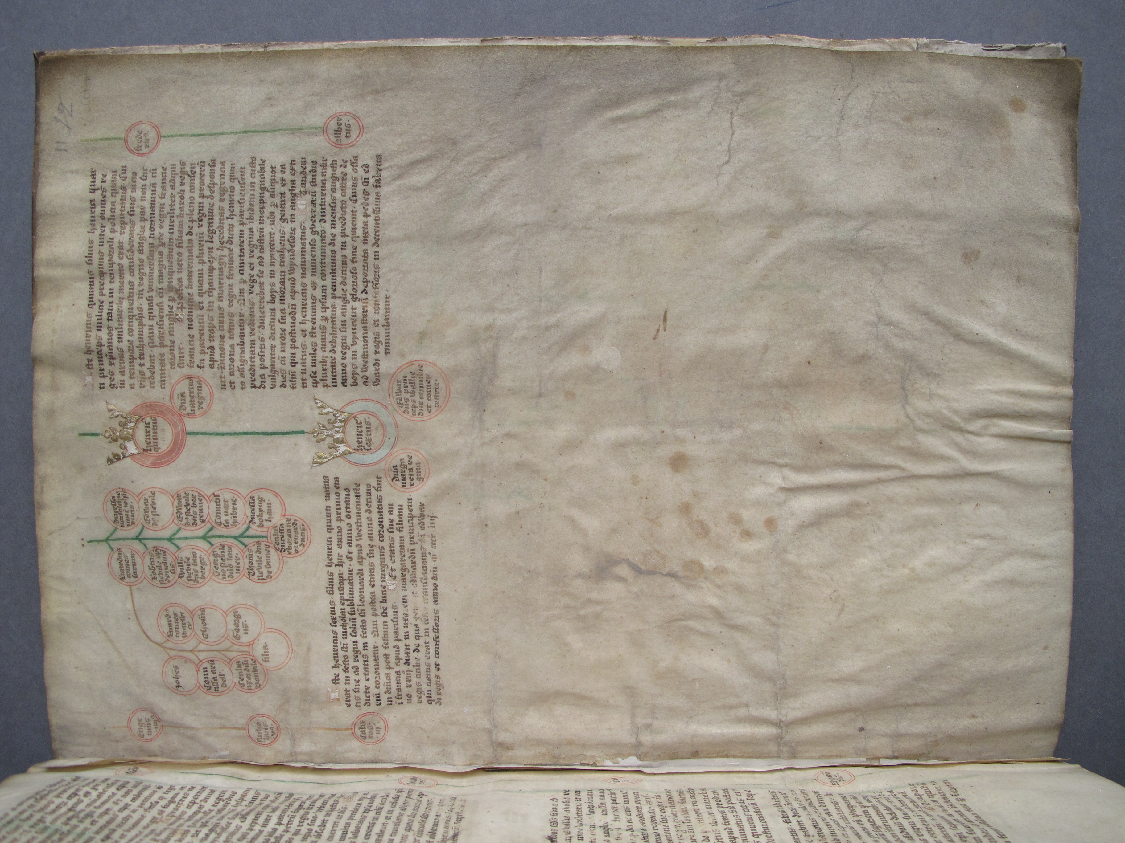 Folio 11 recto