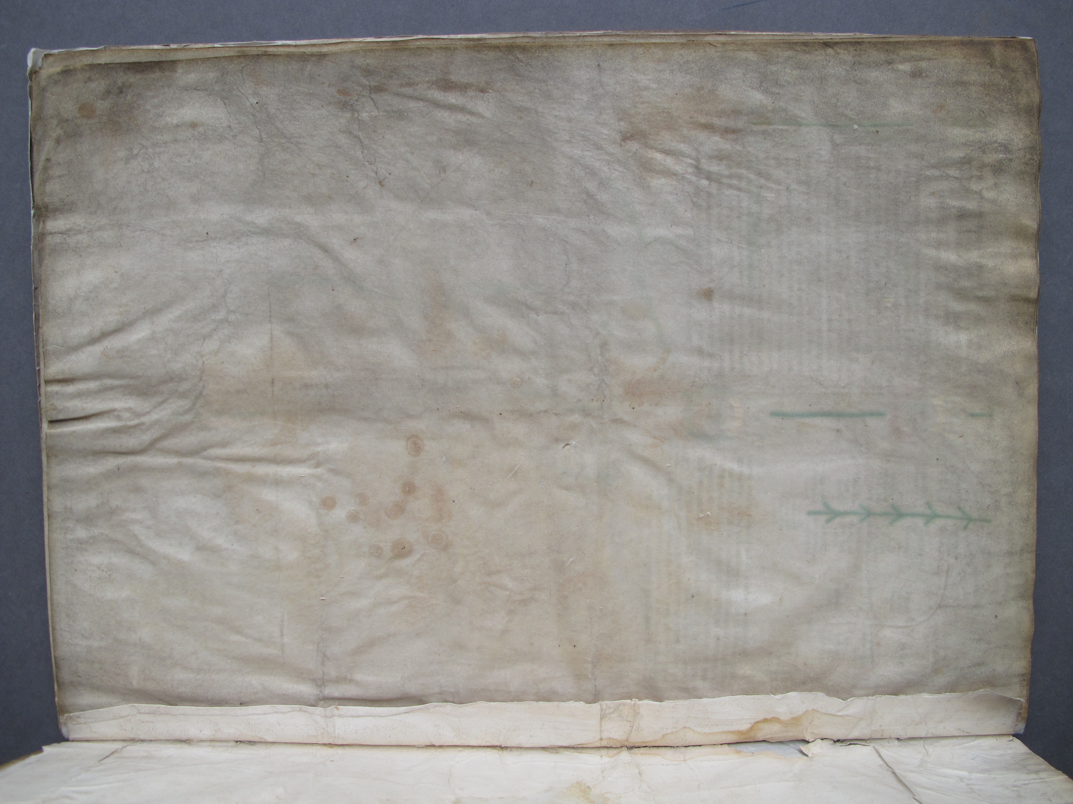 Folio 11 verso