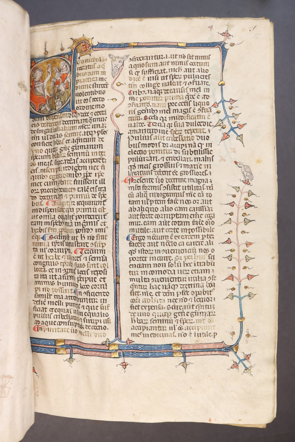 Folio 5  recto