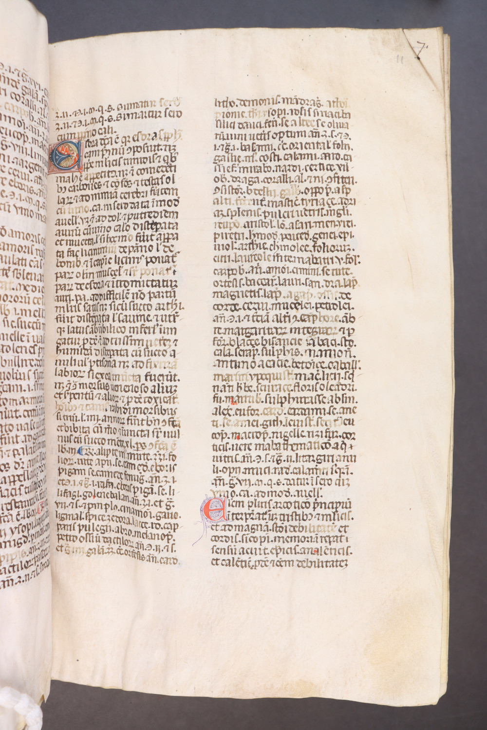 Folio 11  recto