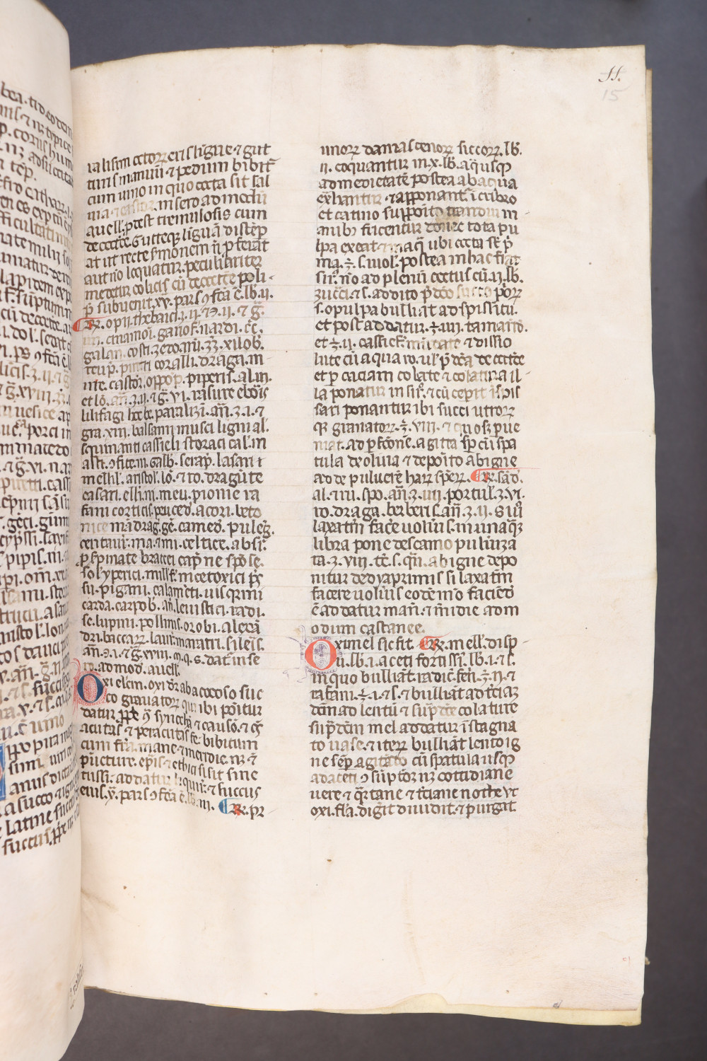 Folio 15  recto