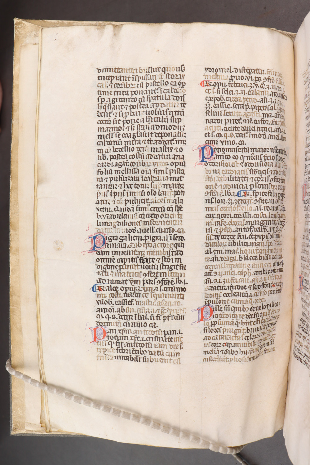 Folio 16  verso