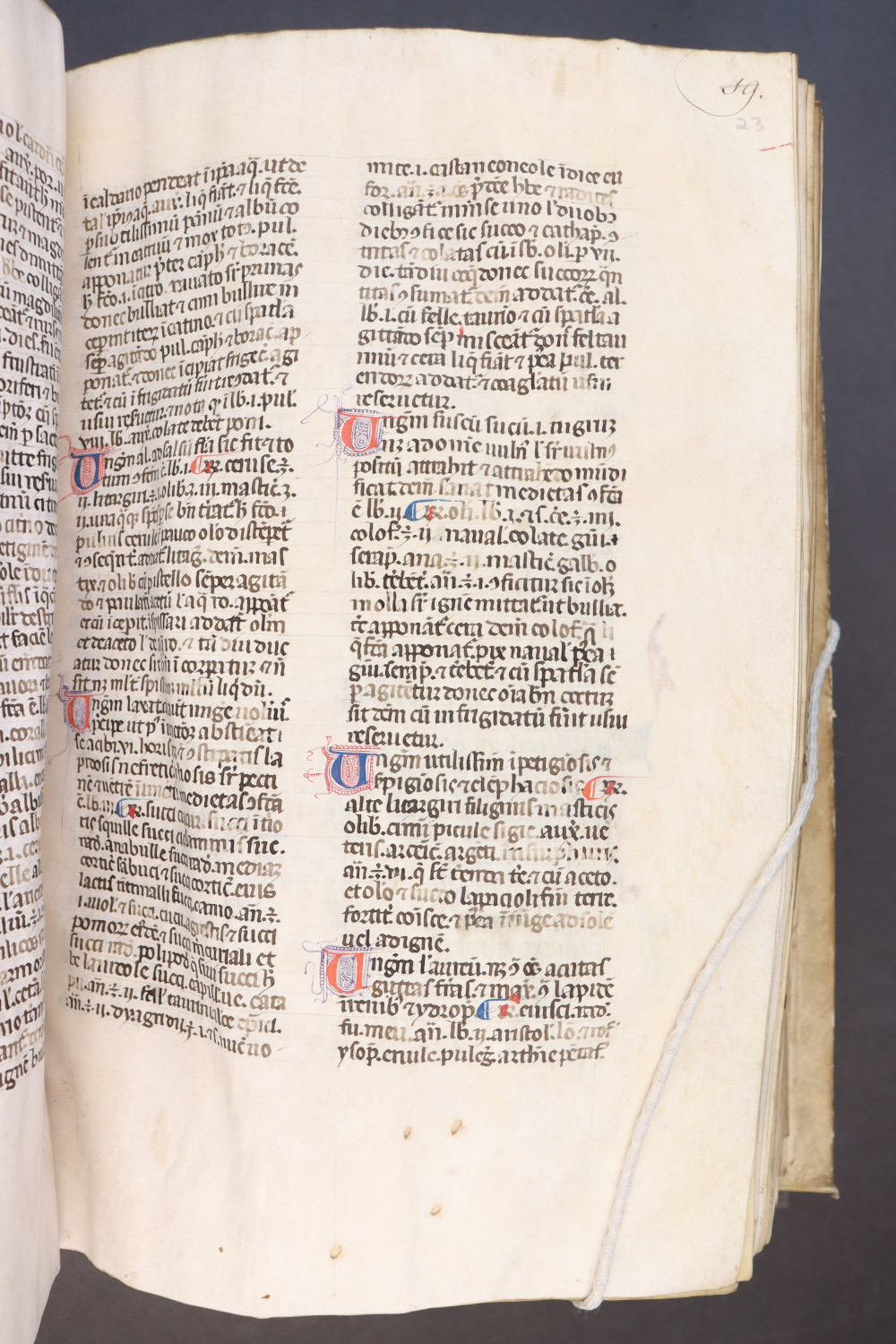 Folio 23  recto