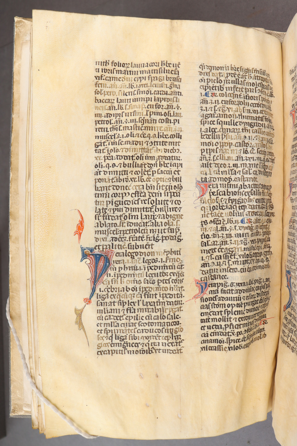 Folio 23  verso