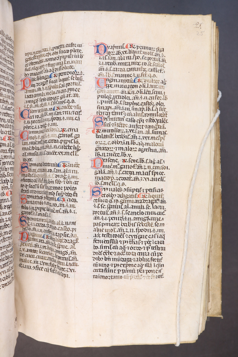 Folio 25  recto