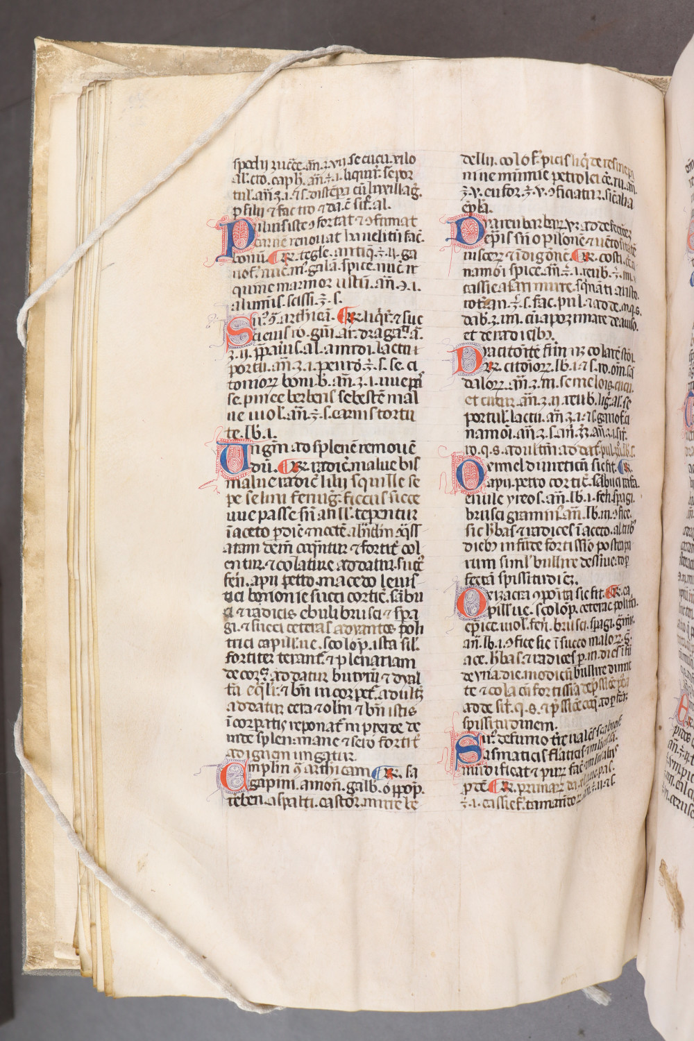 Folio 26  verso