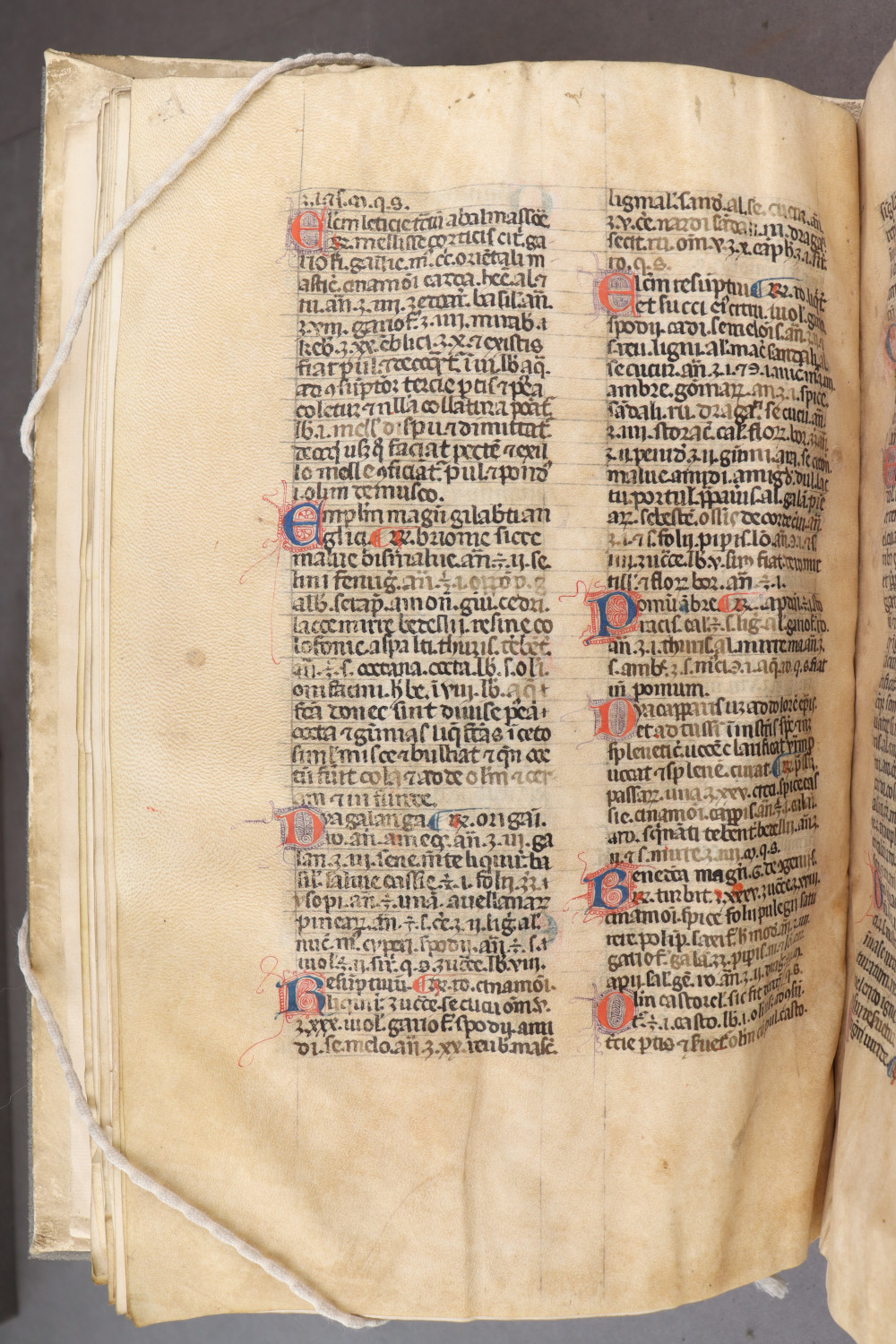 Folio 27  verso