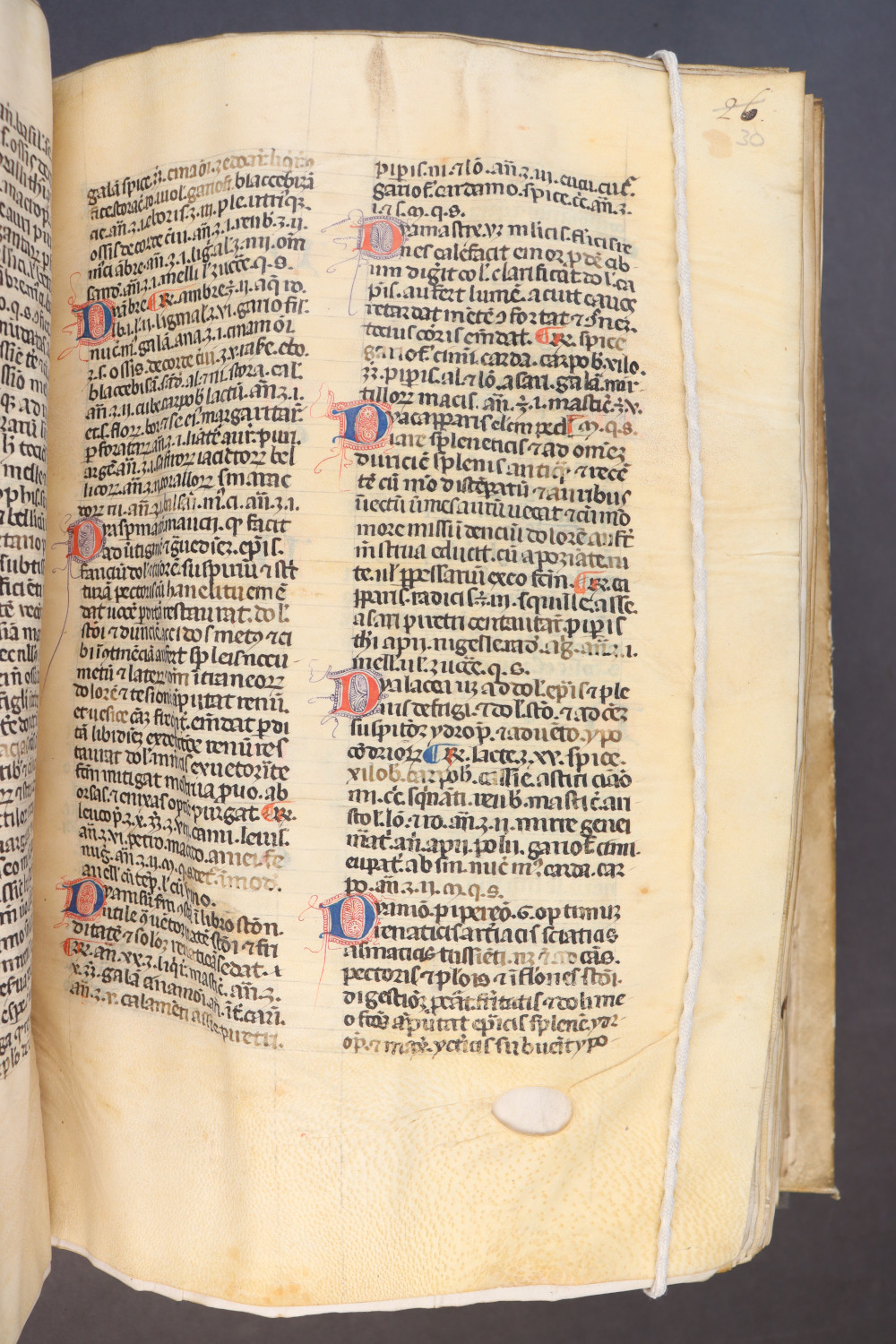 Folio 30  recto