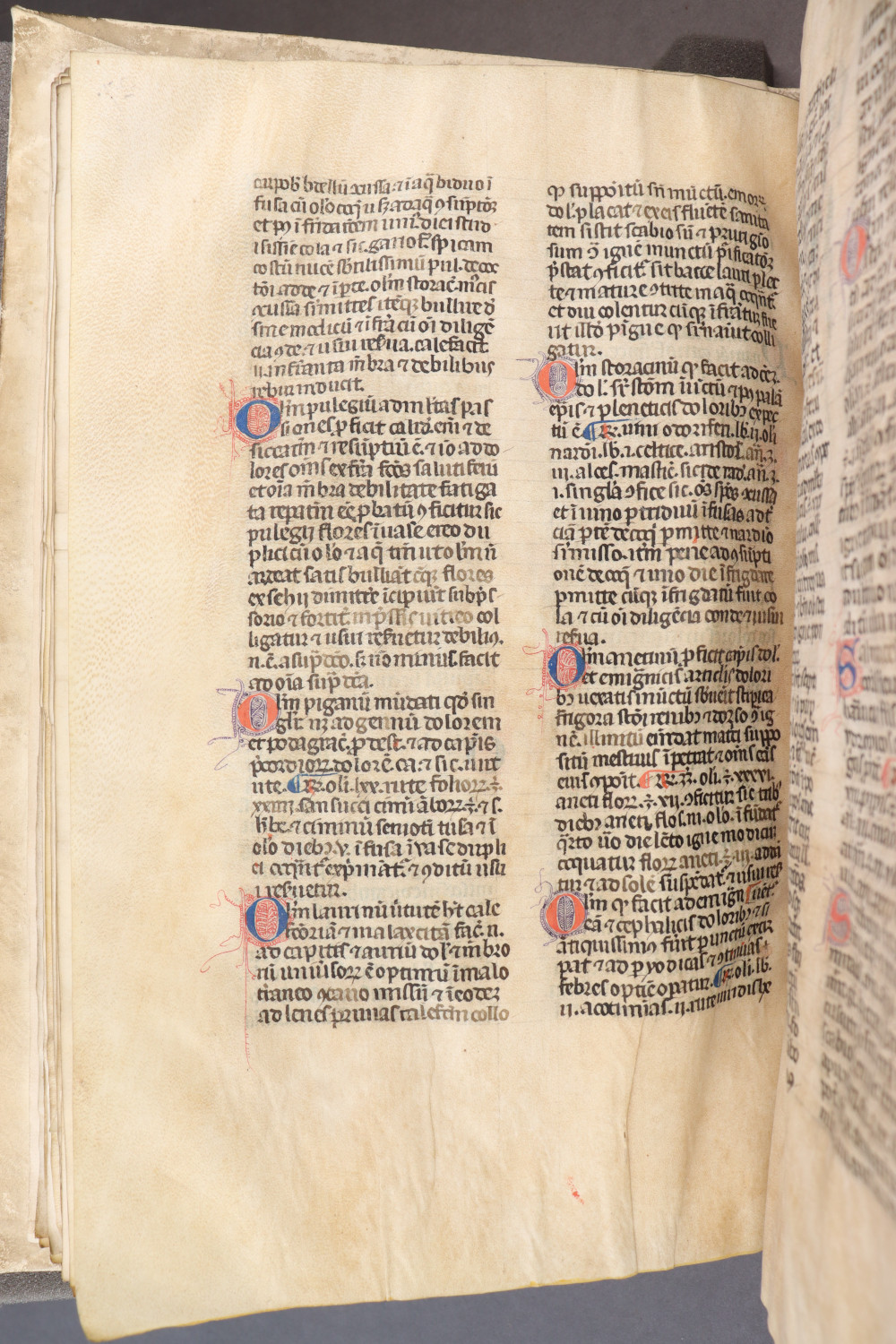 Folio 31  verso