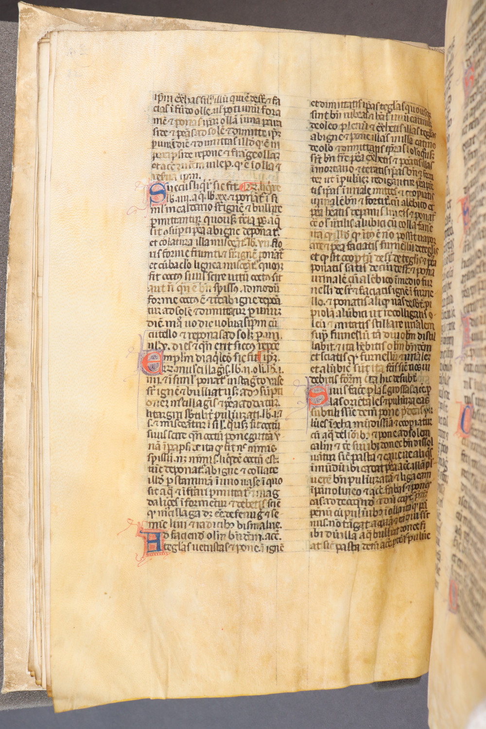Folio 33  verso