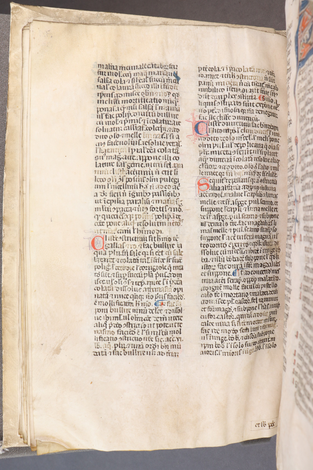 Folio 34  verso