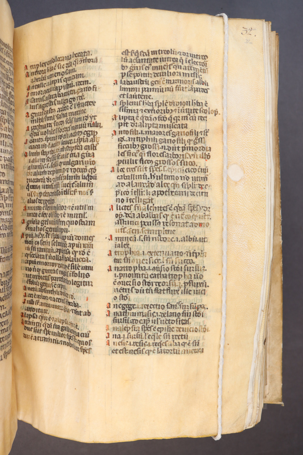 Folio 36  recto