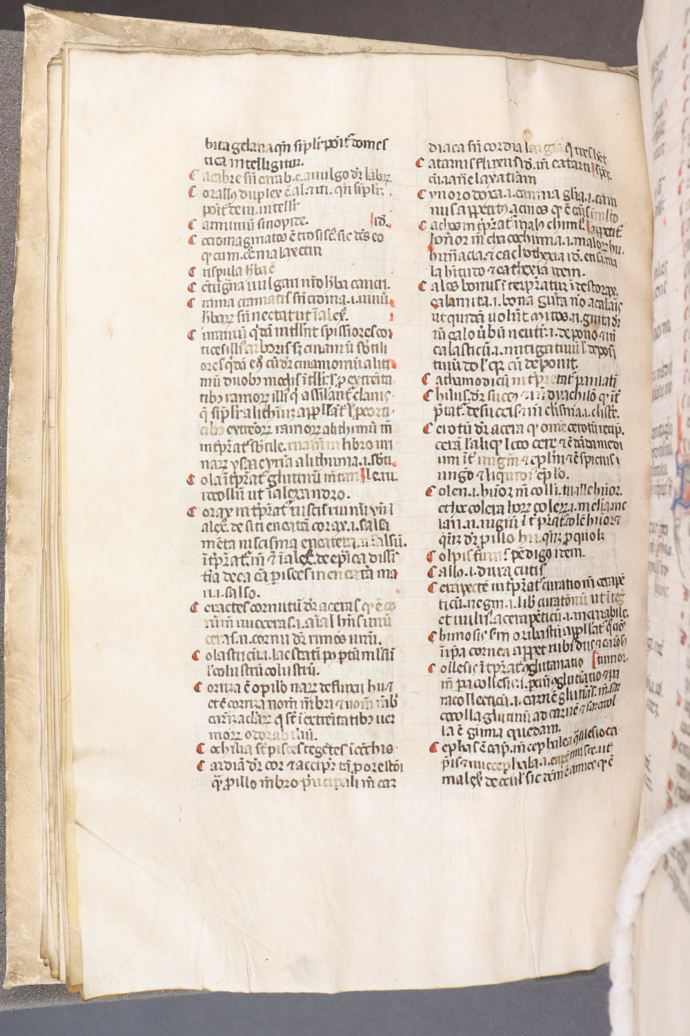 Folio 38  verso