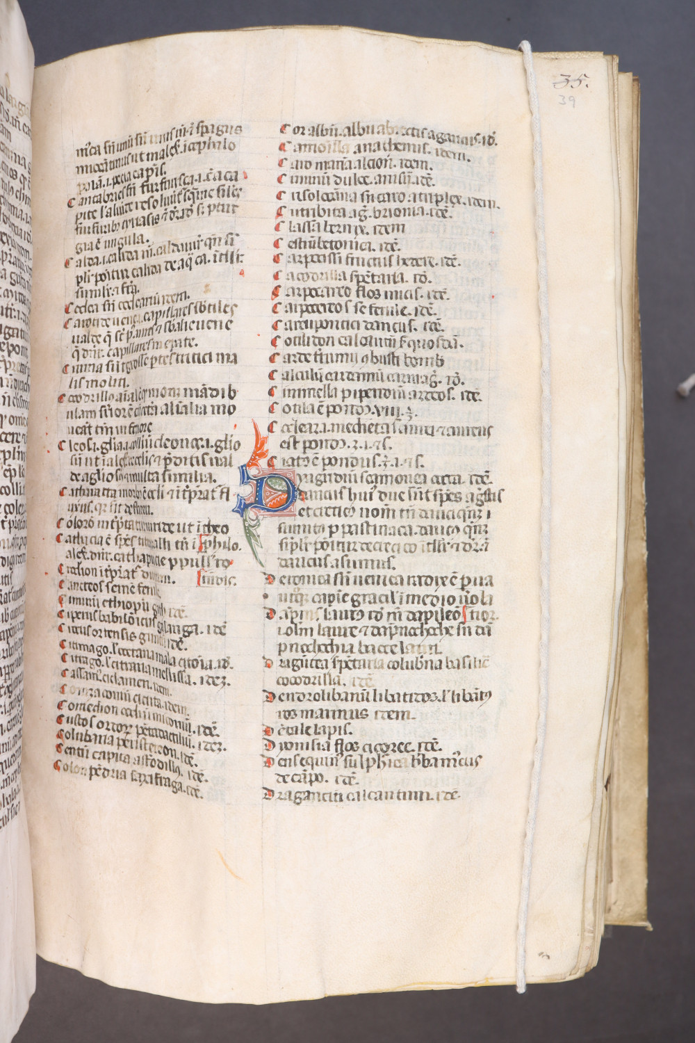 Folio 39  recto