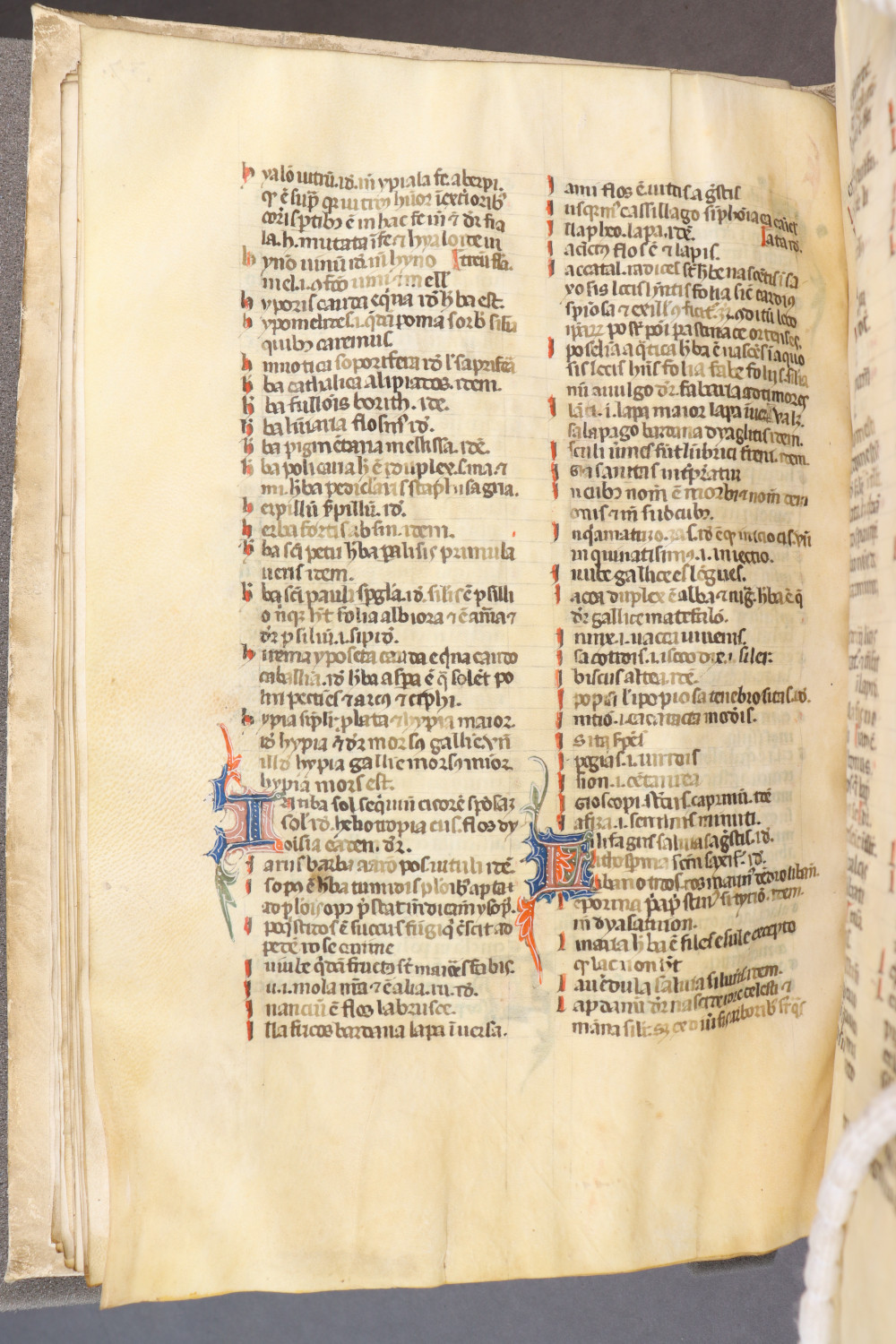 Folio 41  verso