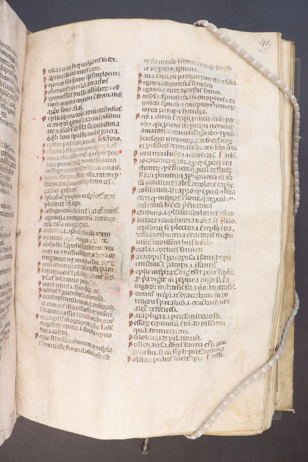 Folio 45  recto