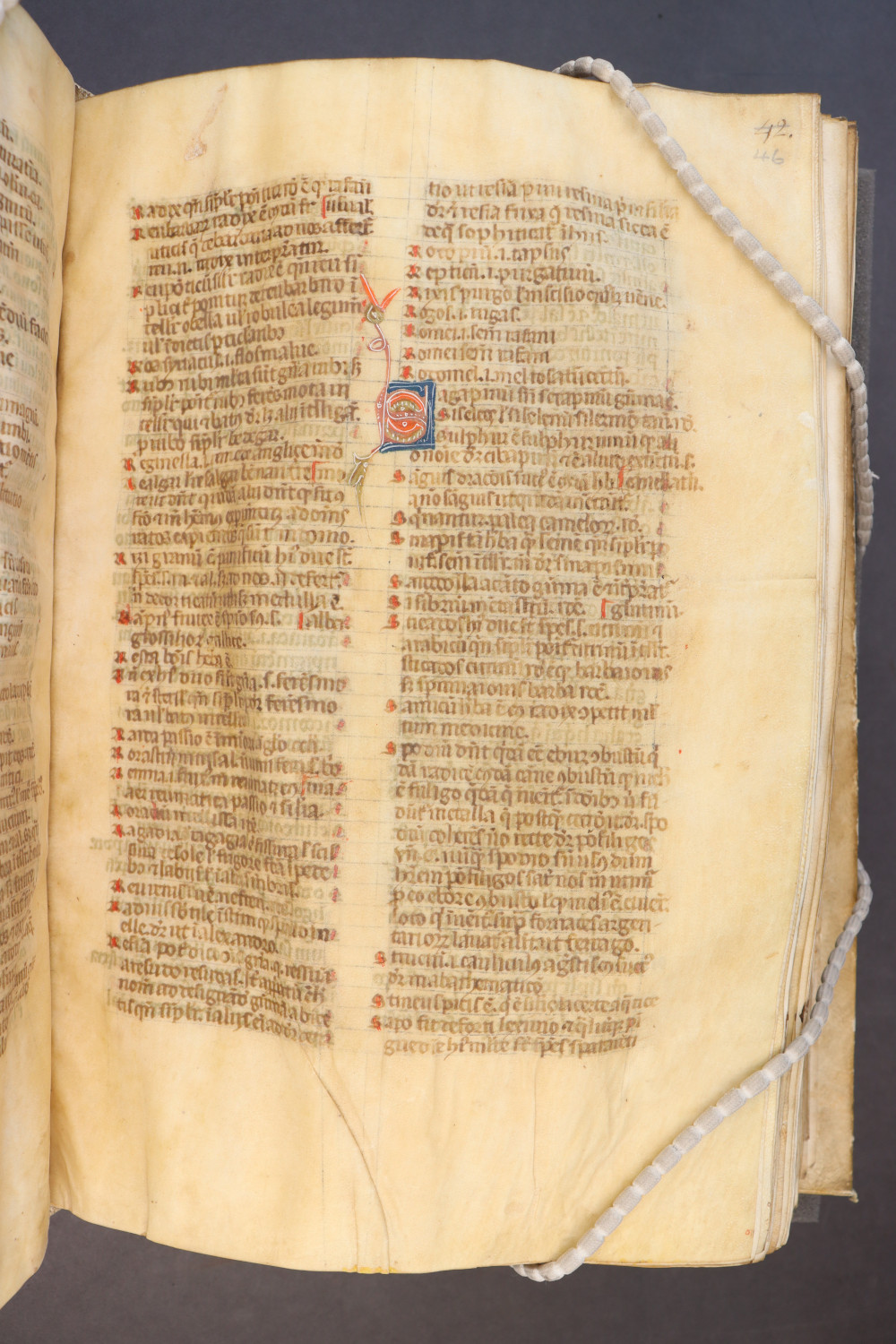 Folio 46  recto