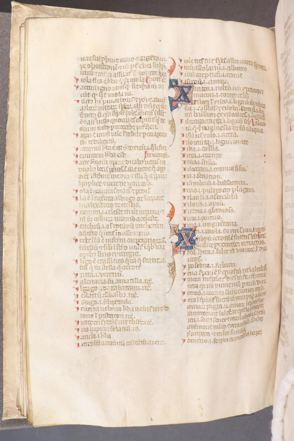 Folio 48  verso