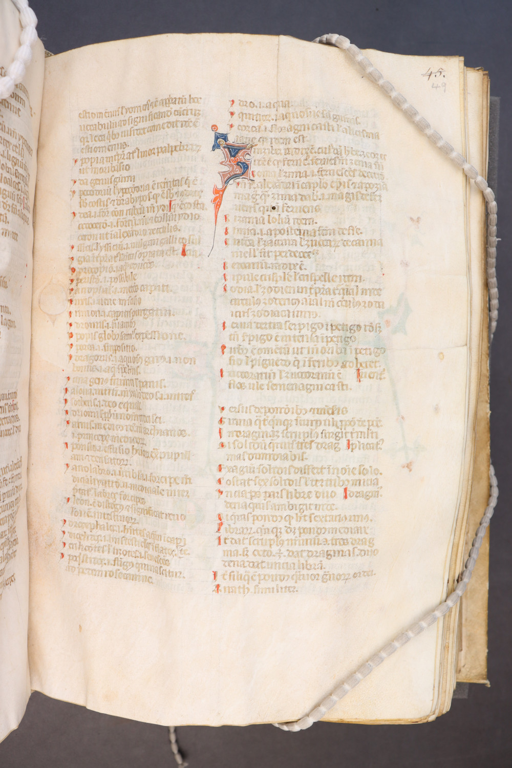 Folio 49  recto