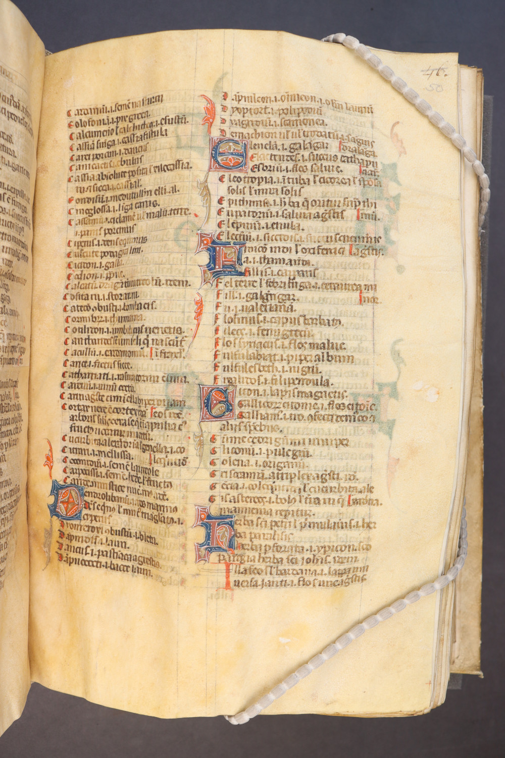 Folio 50  recto