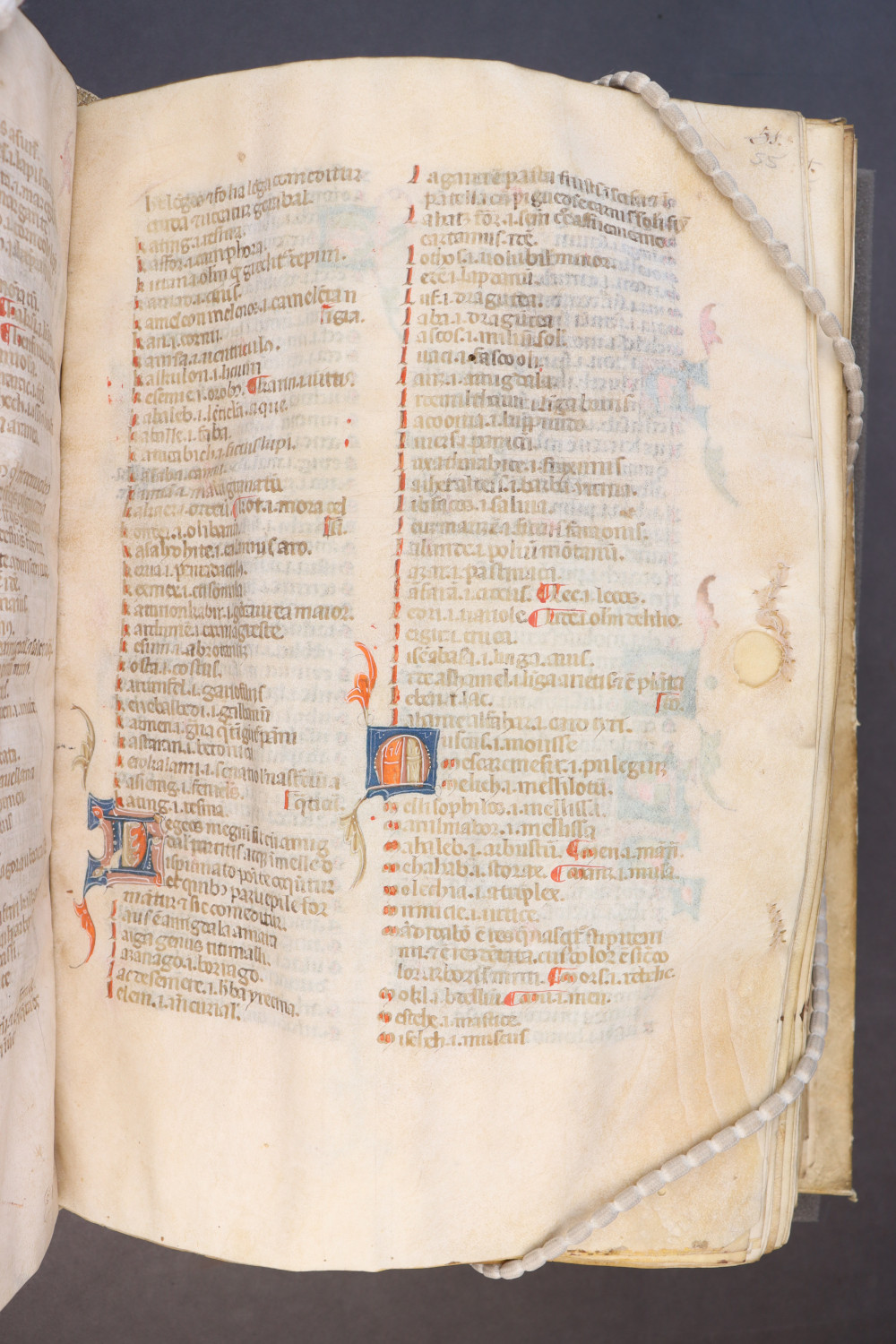 Folio 55  recto