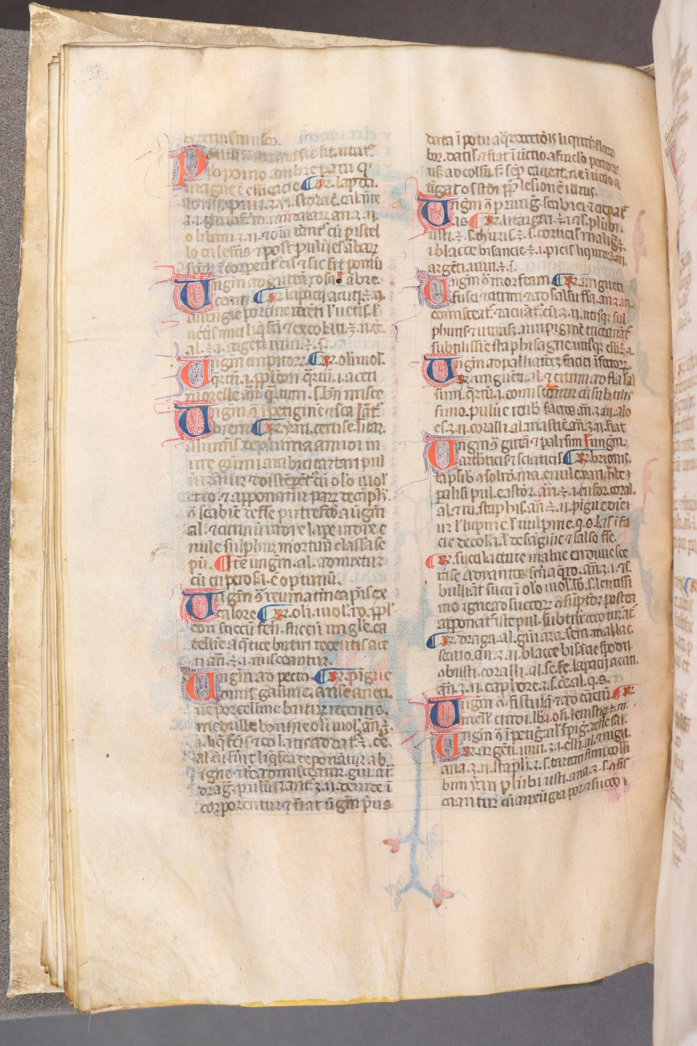 Folio 56  verso