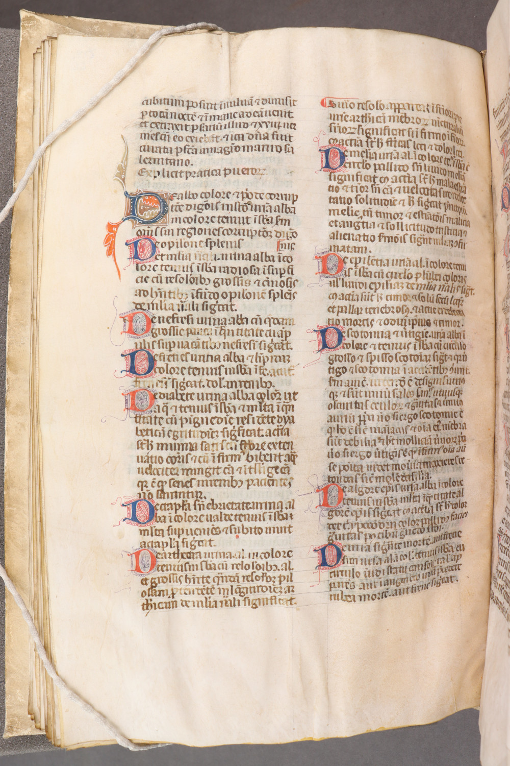 Folio 66  verso