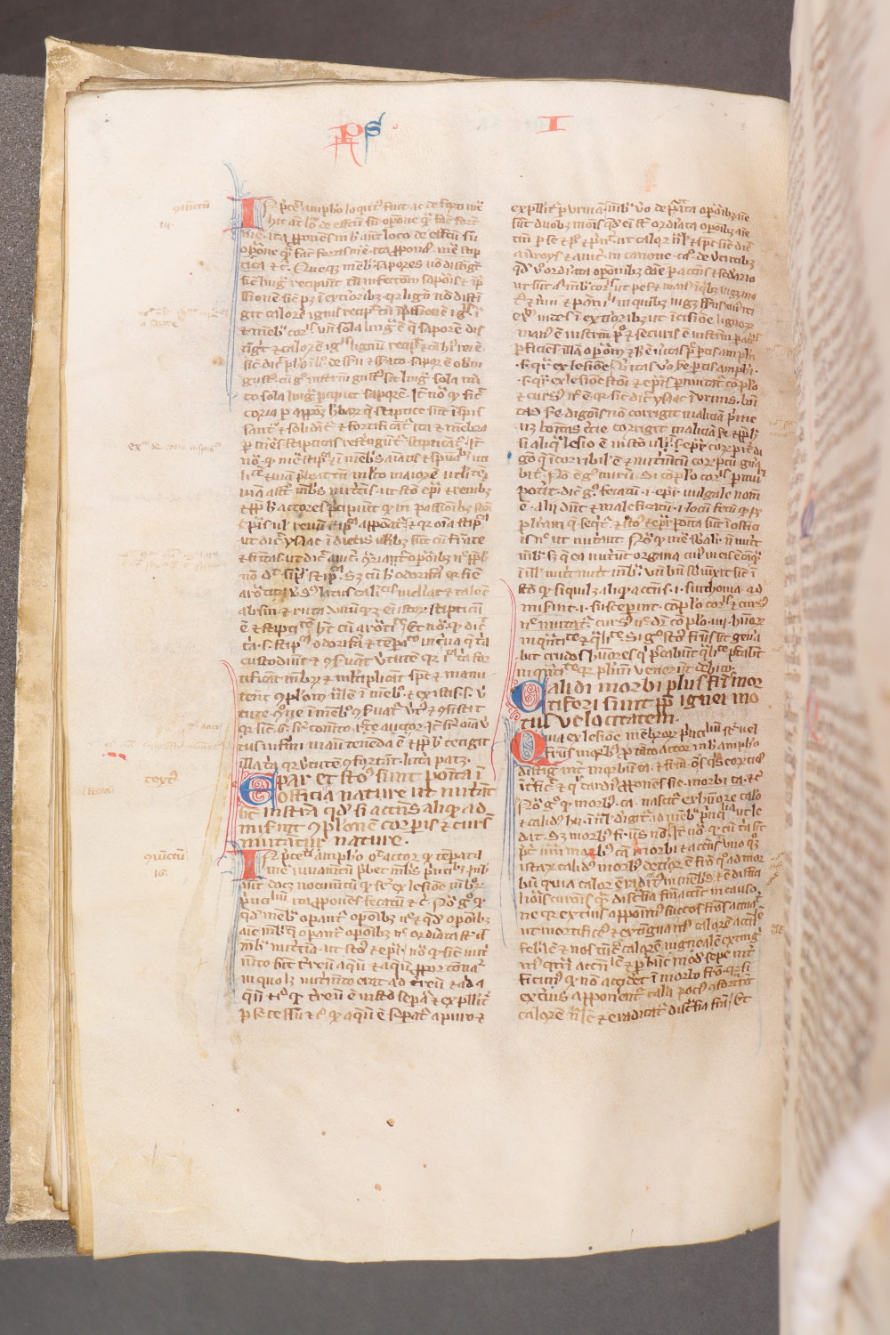 Folio 74  verso