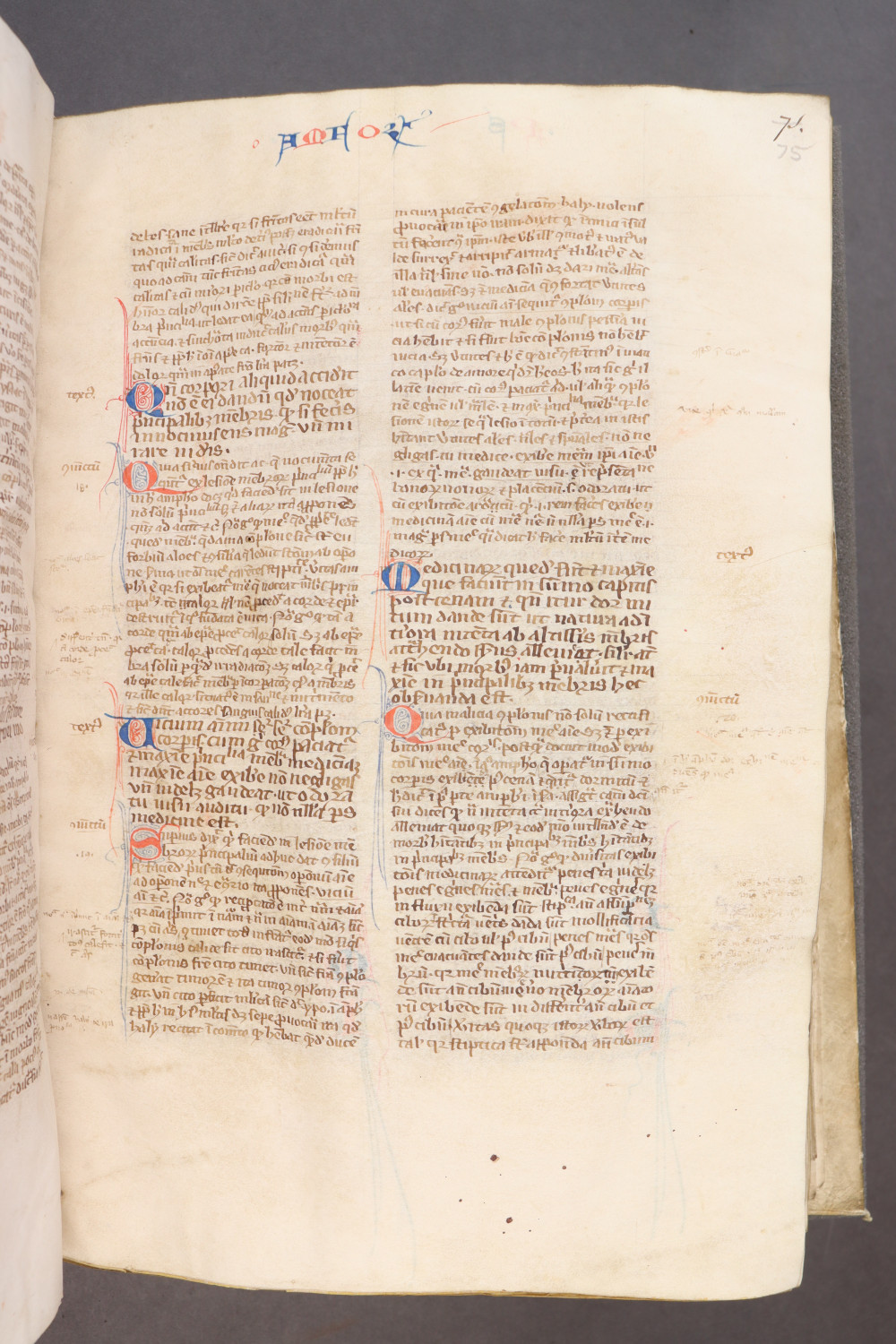 Folio 75  recto