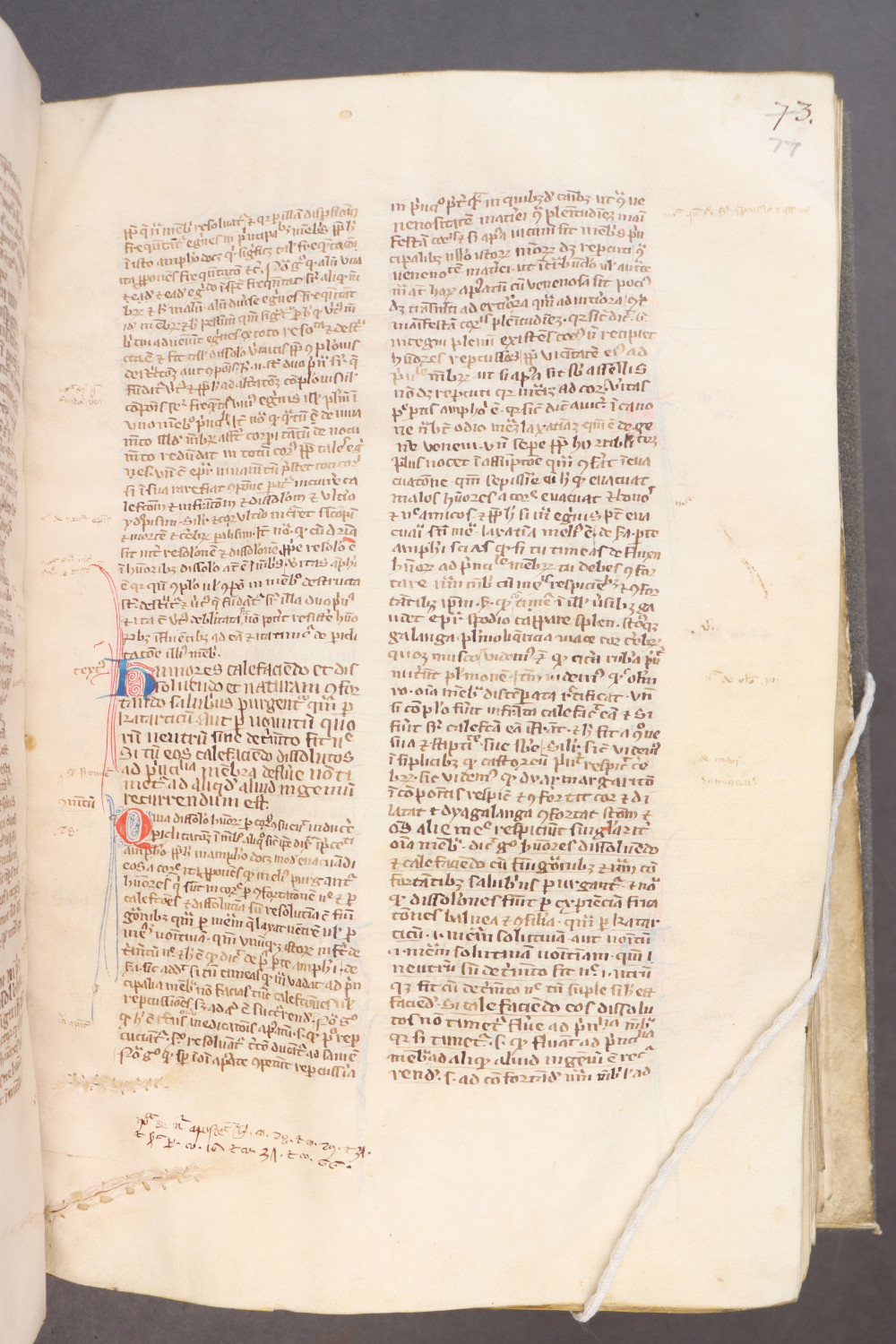 Folio 77  recto