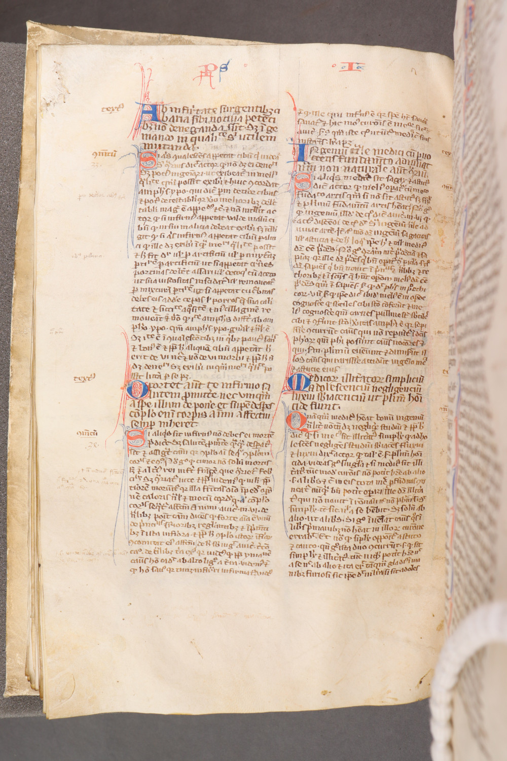 Folio 78  verso