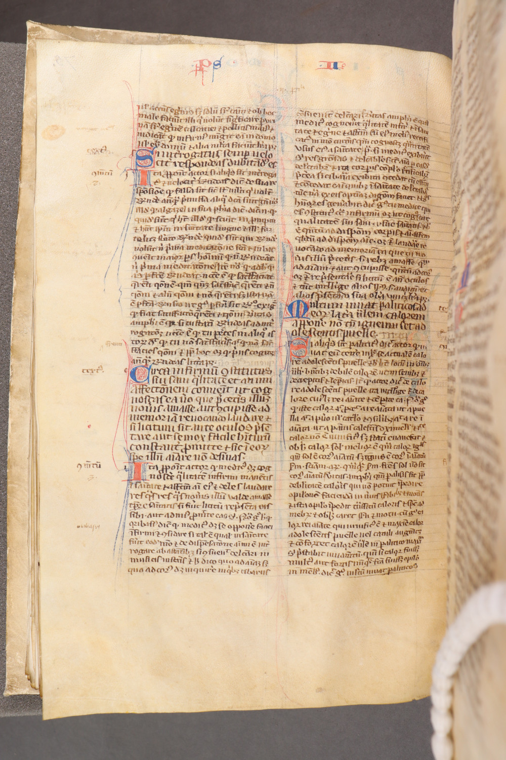 Folio 79  verso