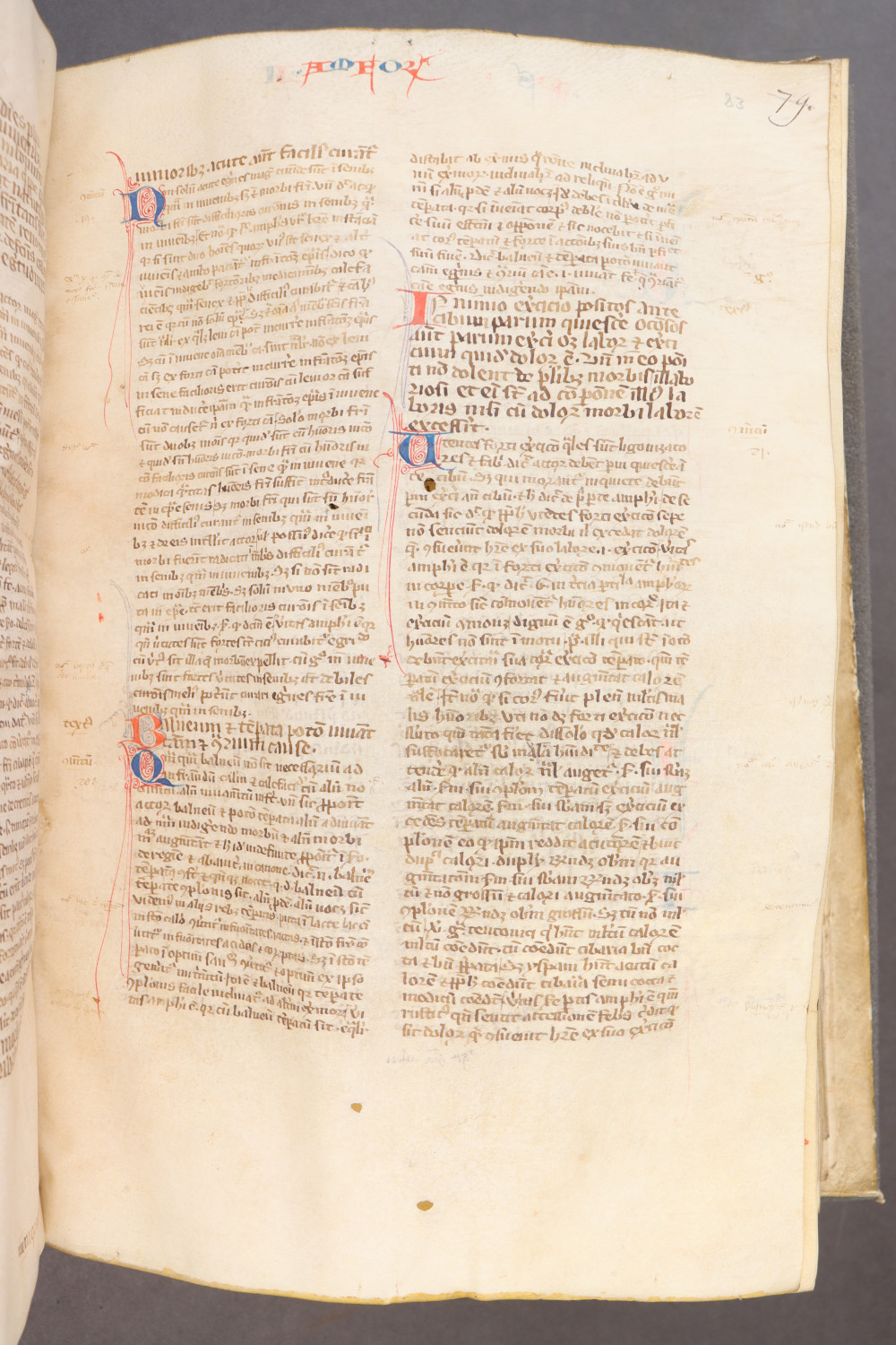 Folio 83  recto