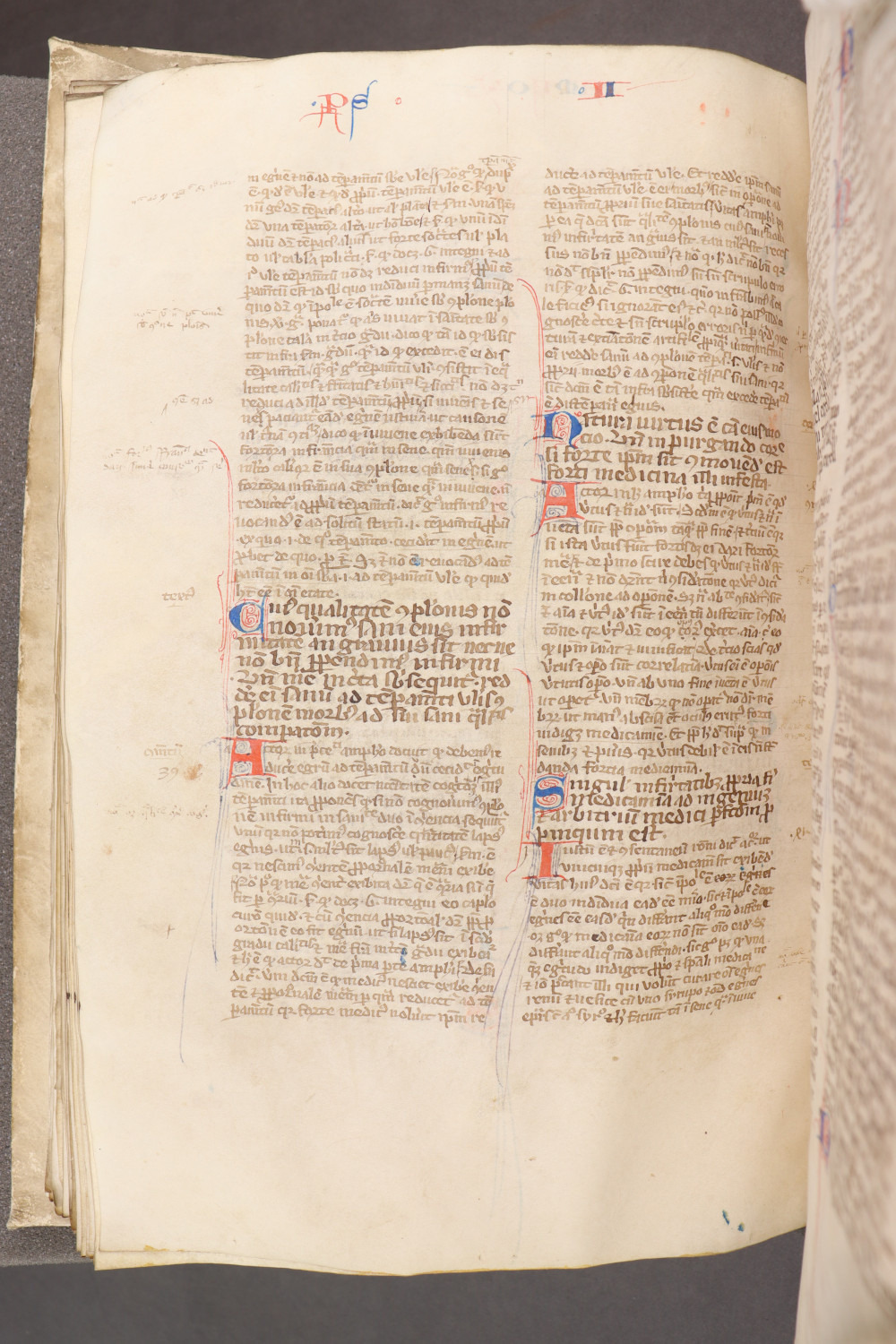 Folio 86  verso