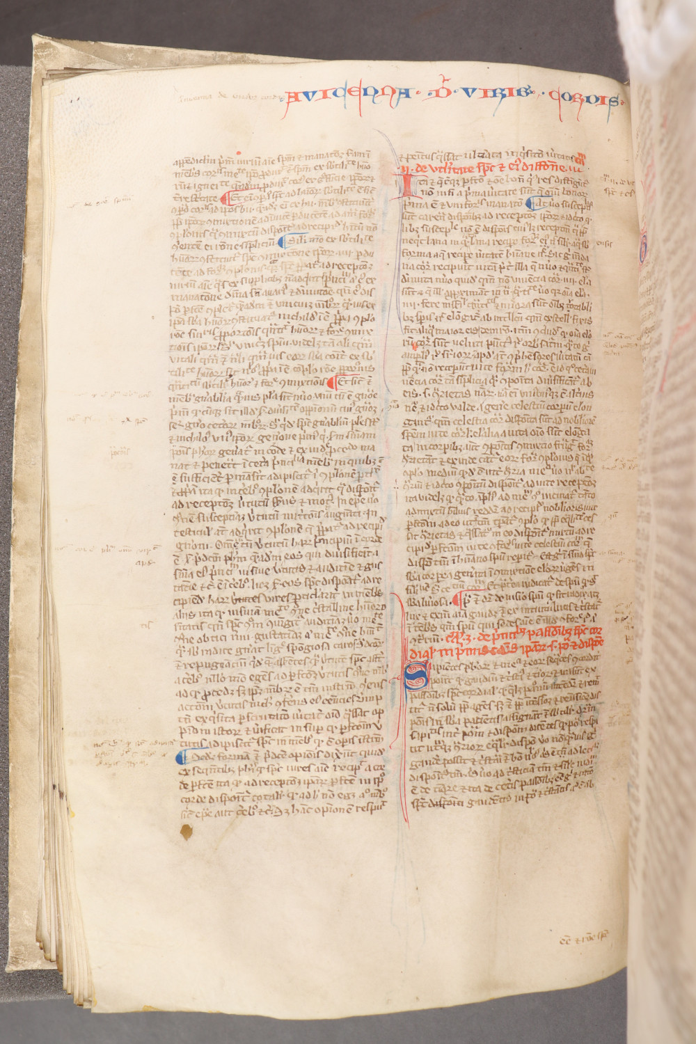 Folio 94  verso