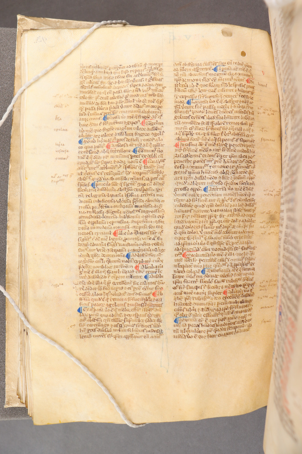 Folio 97  verso