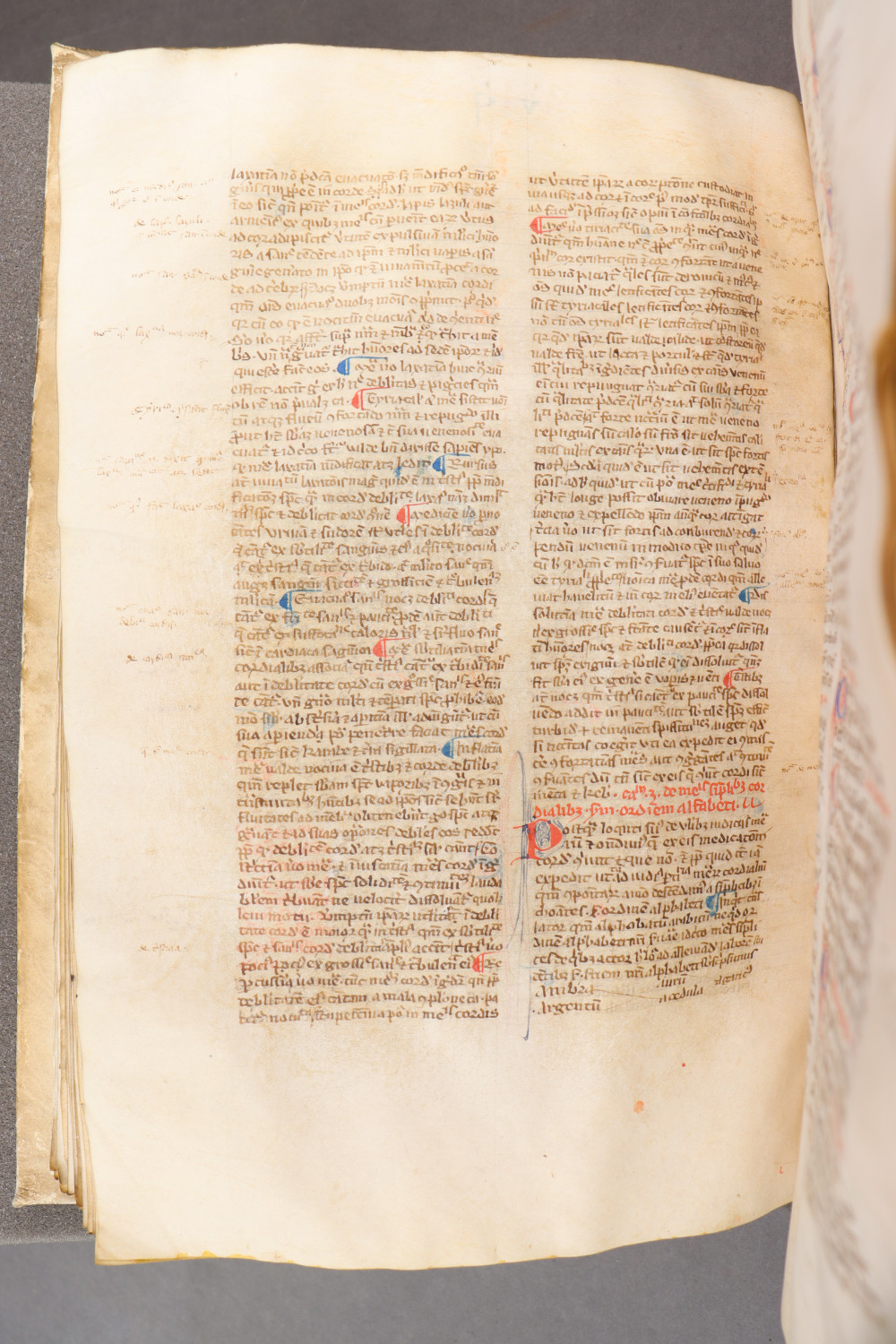 Folio 98  verso
