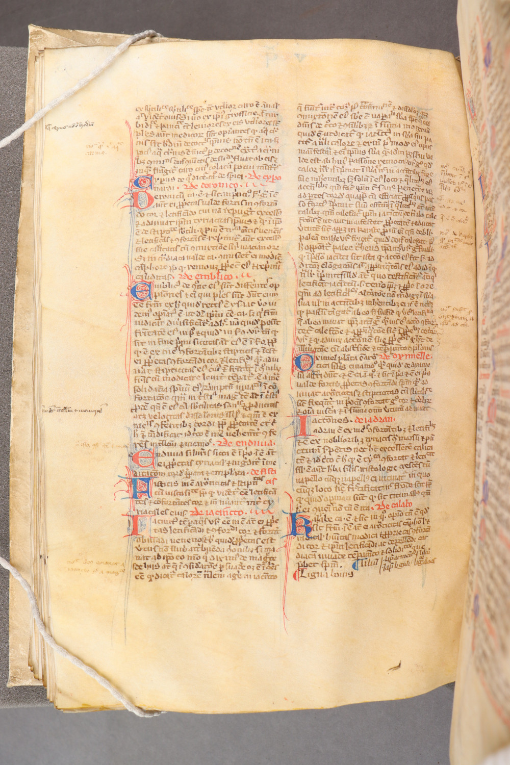 Folio 99  verso