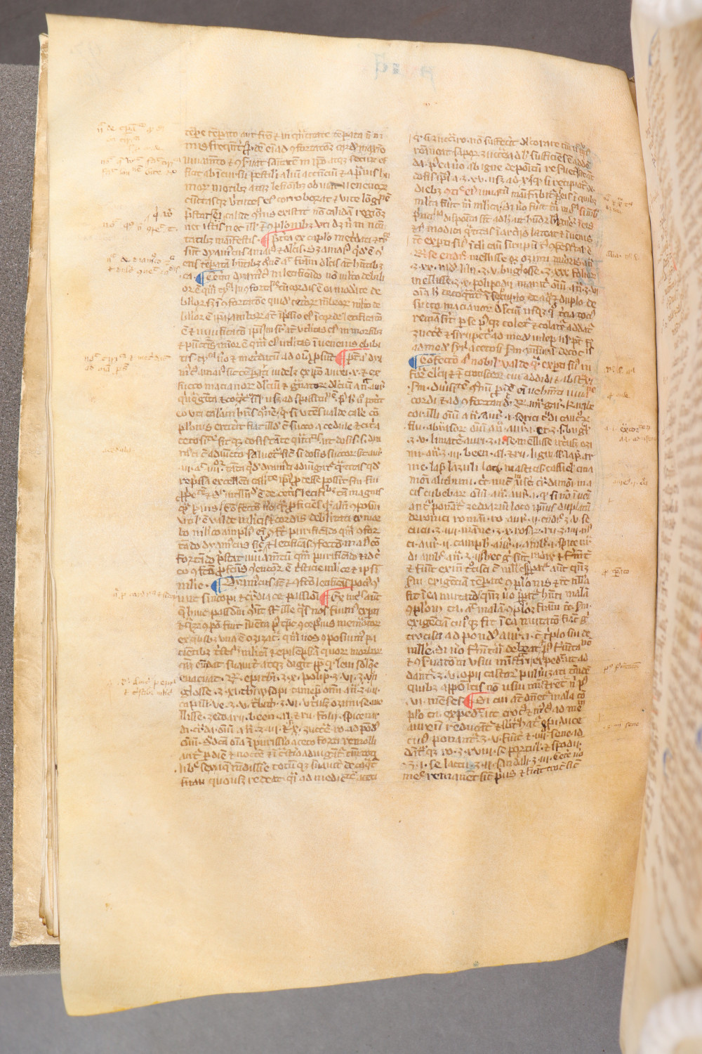 Folio 101  verso