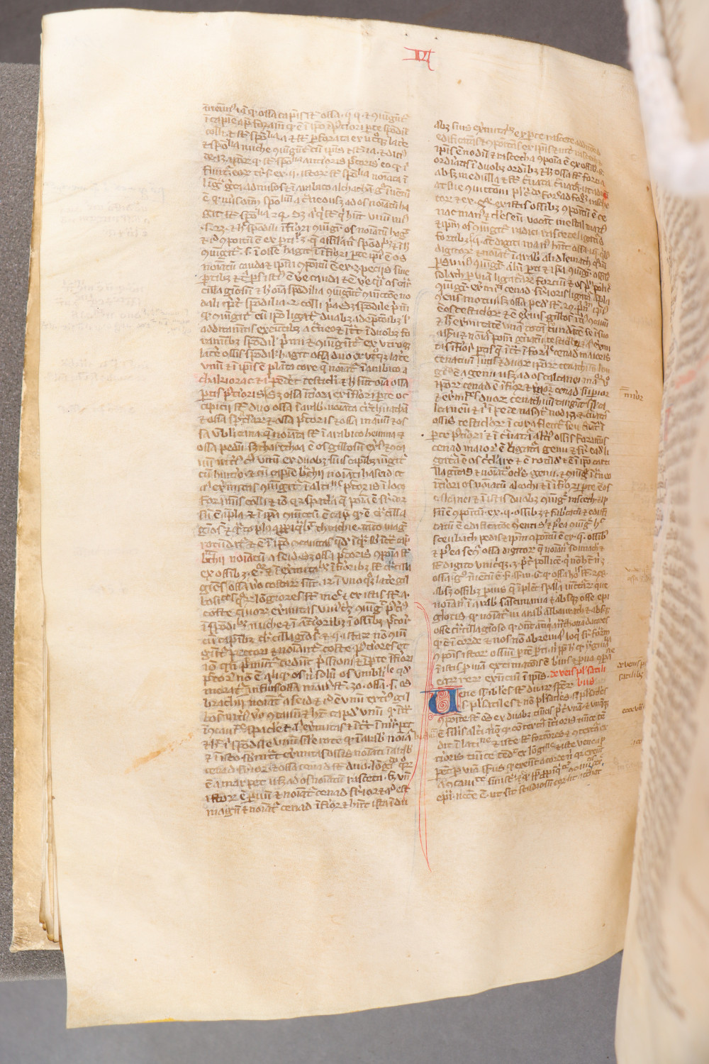 Folio 104  verso
