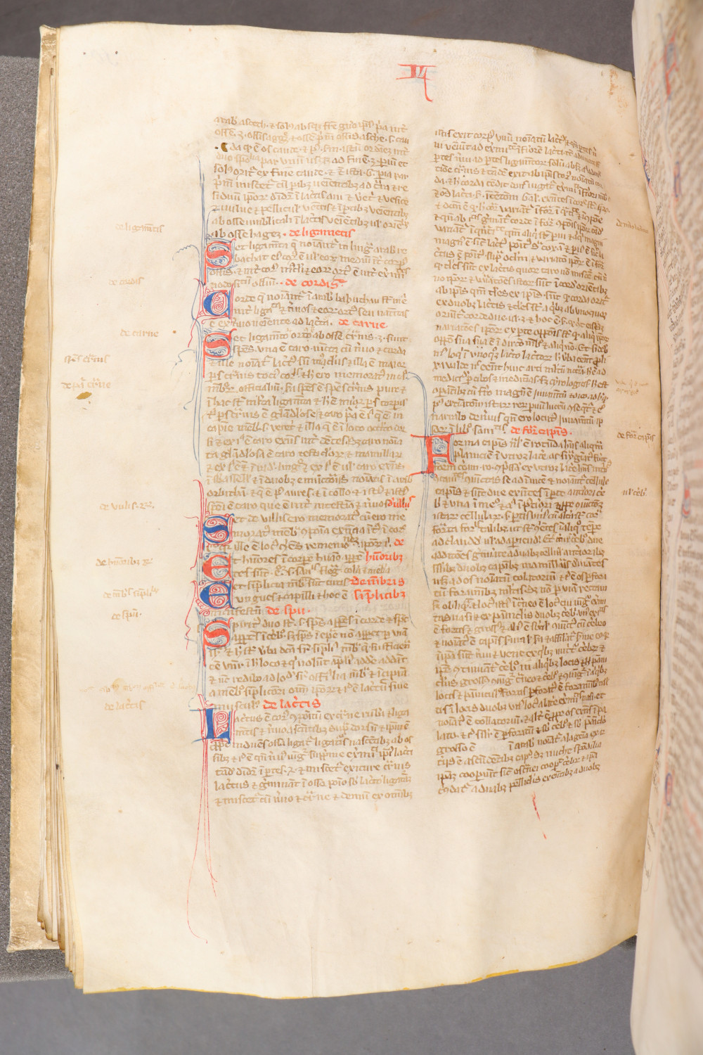 Folio 106  verso